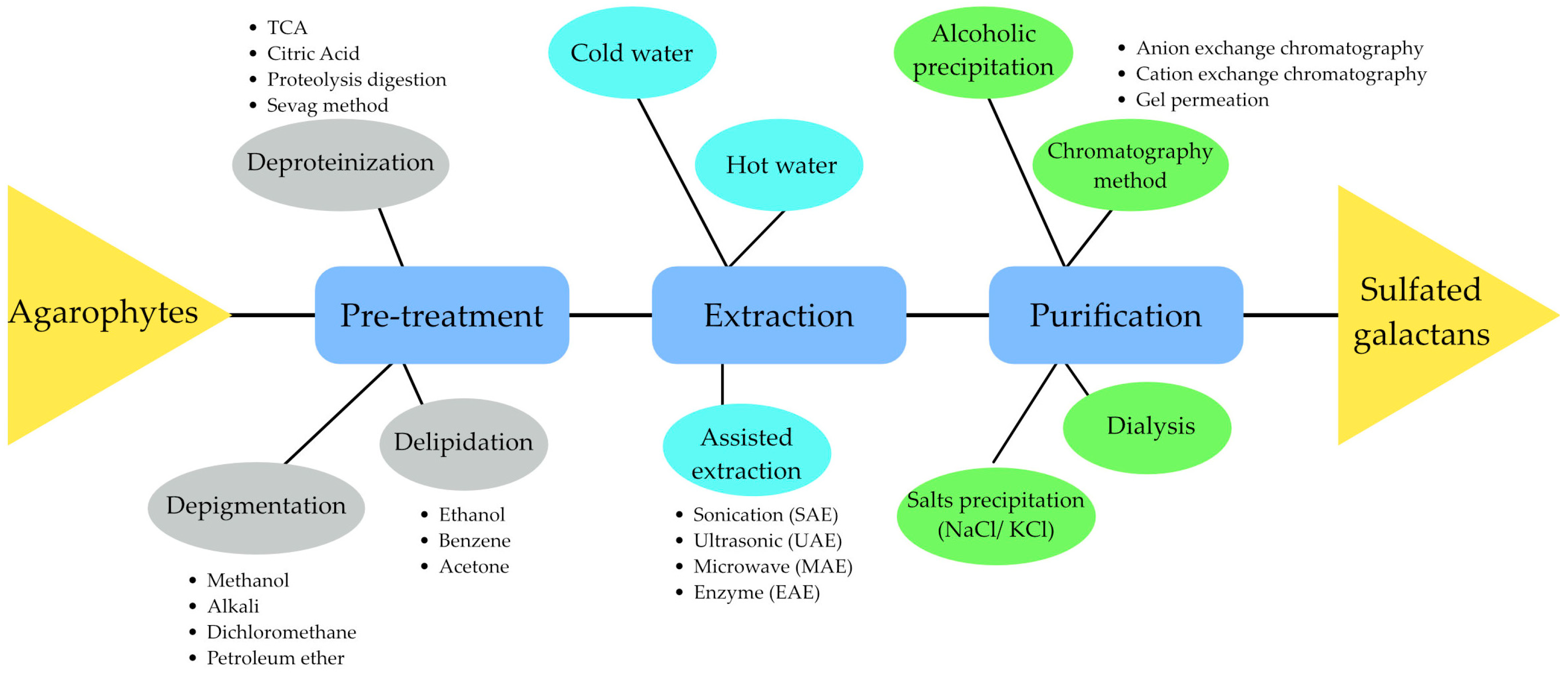 Biomolecules 13 01745 g002