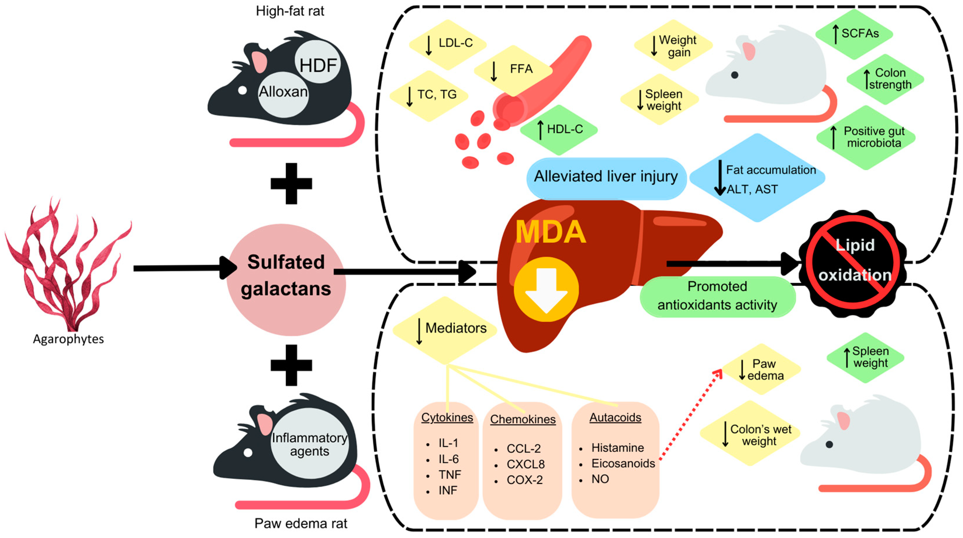 Biomolecules 13 01745 g007
