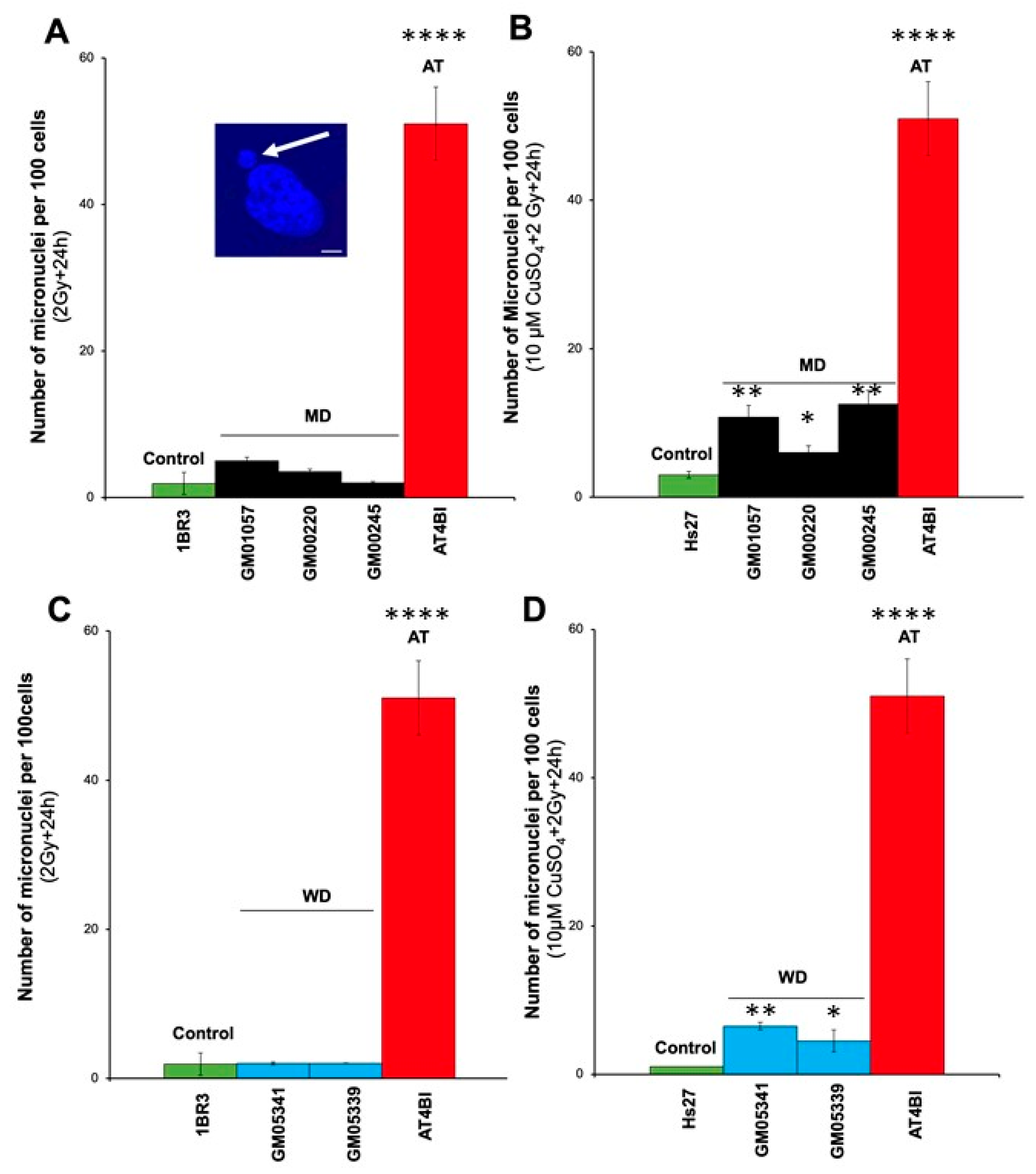Biomolecules 13 01746 g003