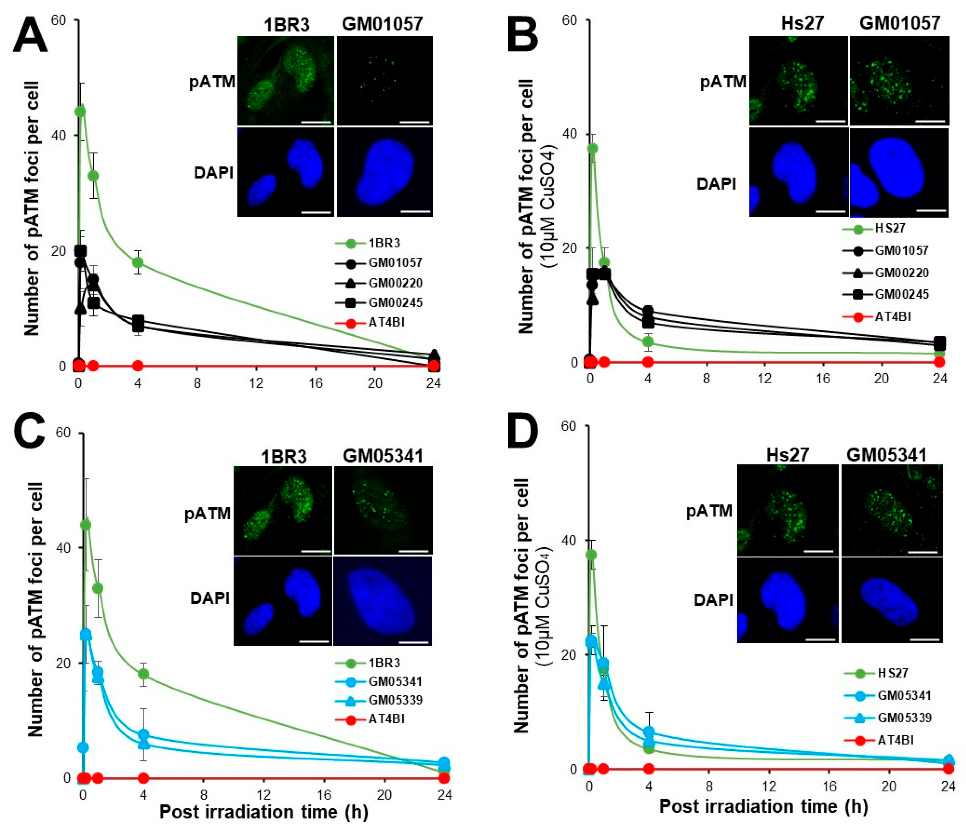 Biomolecules 13 01746 g005
