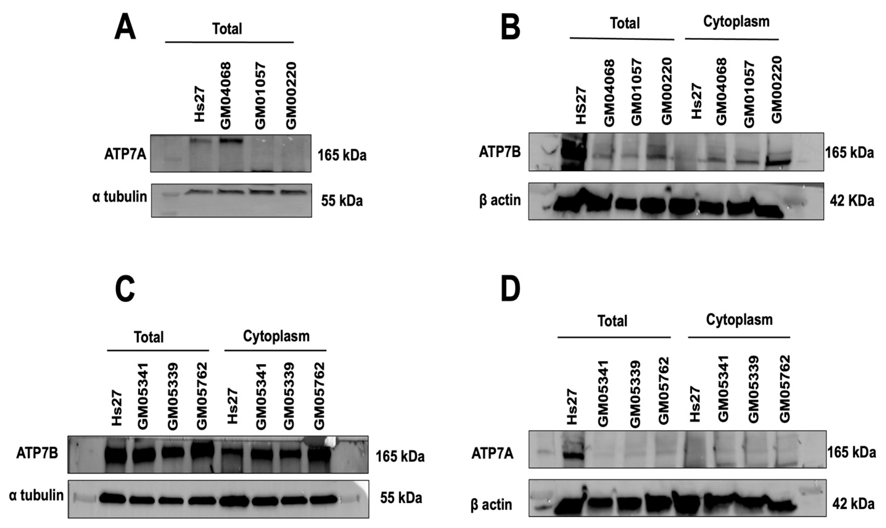 Biomolecules 13 01746 g007