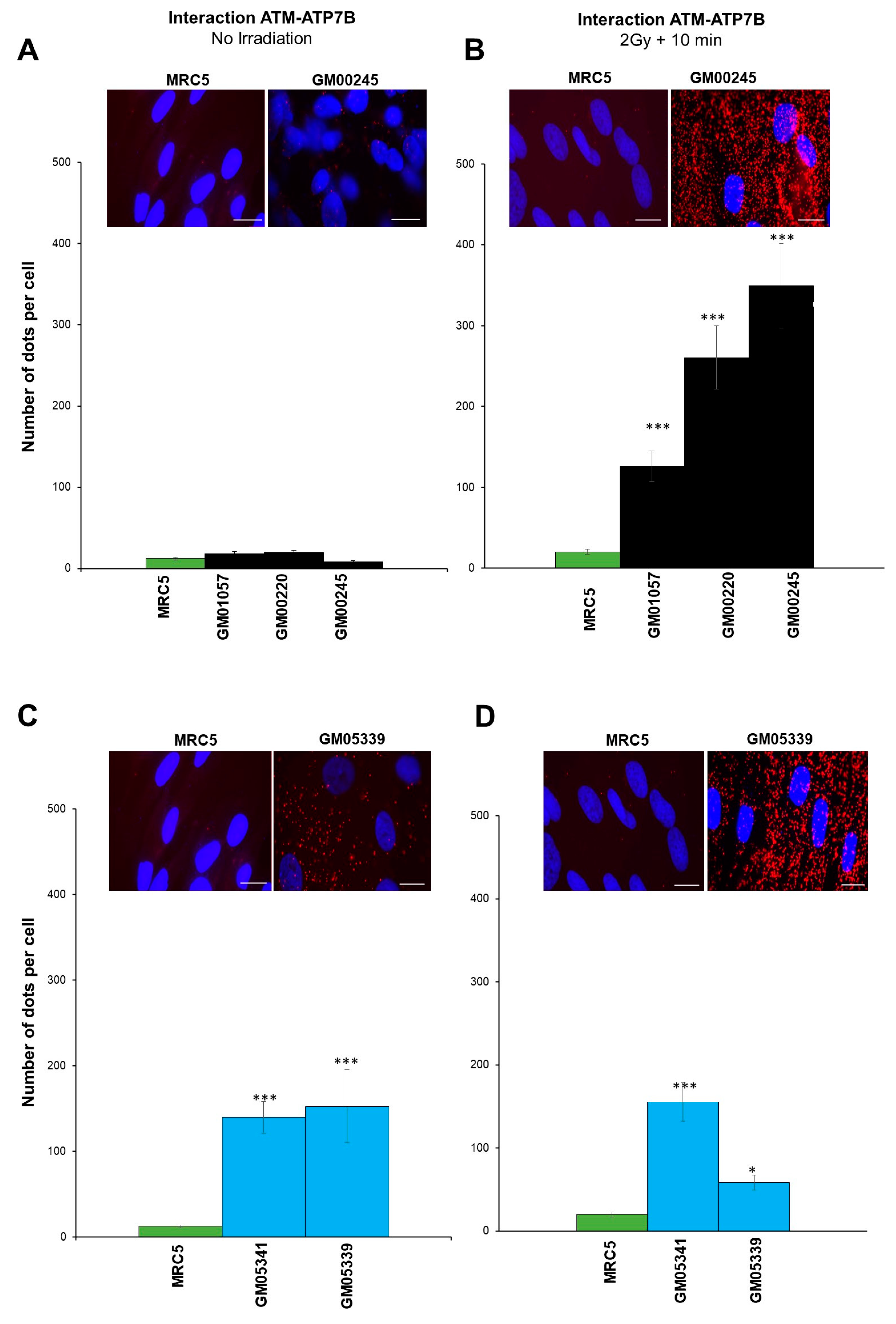 Biomolecules 13 01746 g008