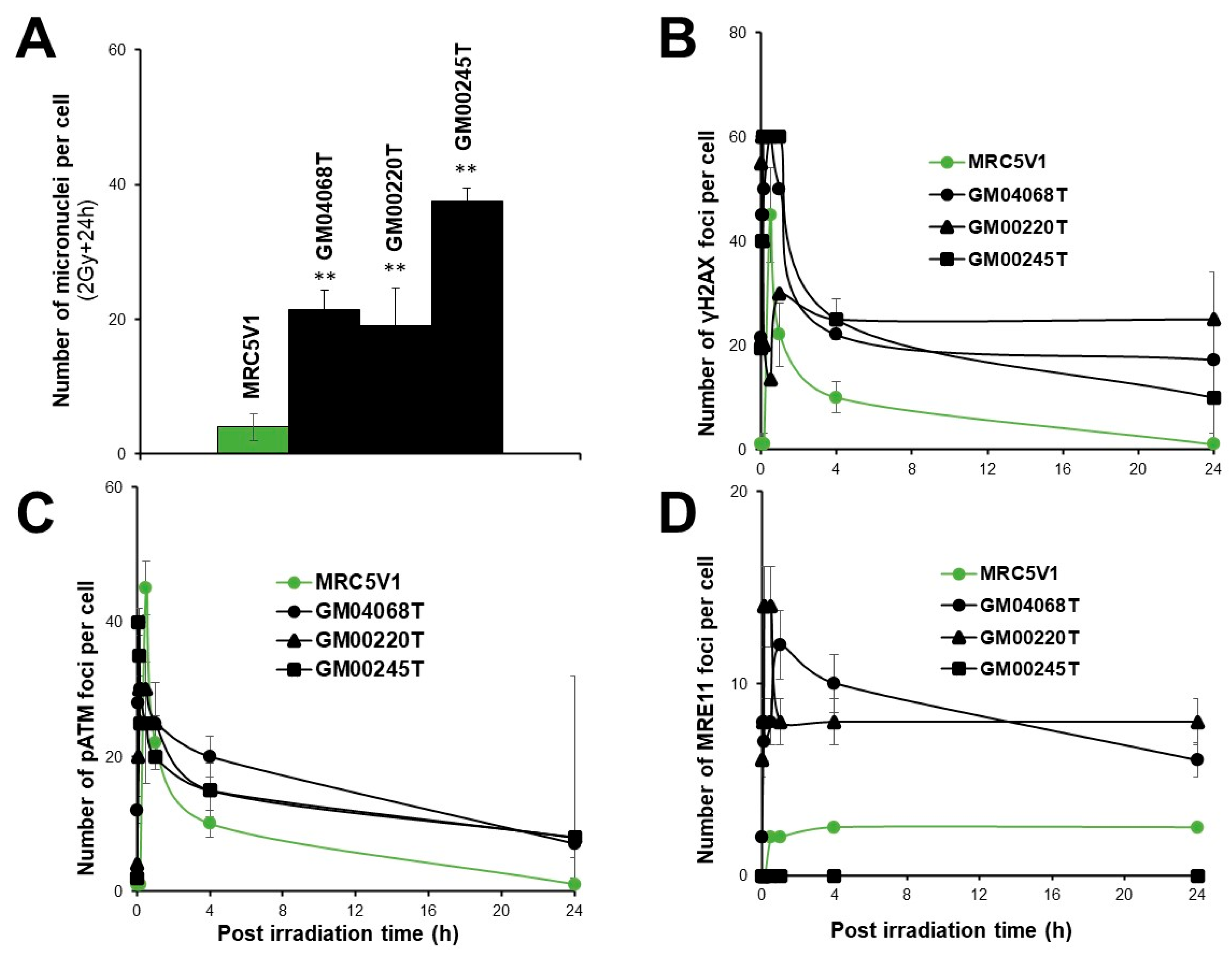 Biomolecules 13 01746 g010