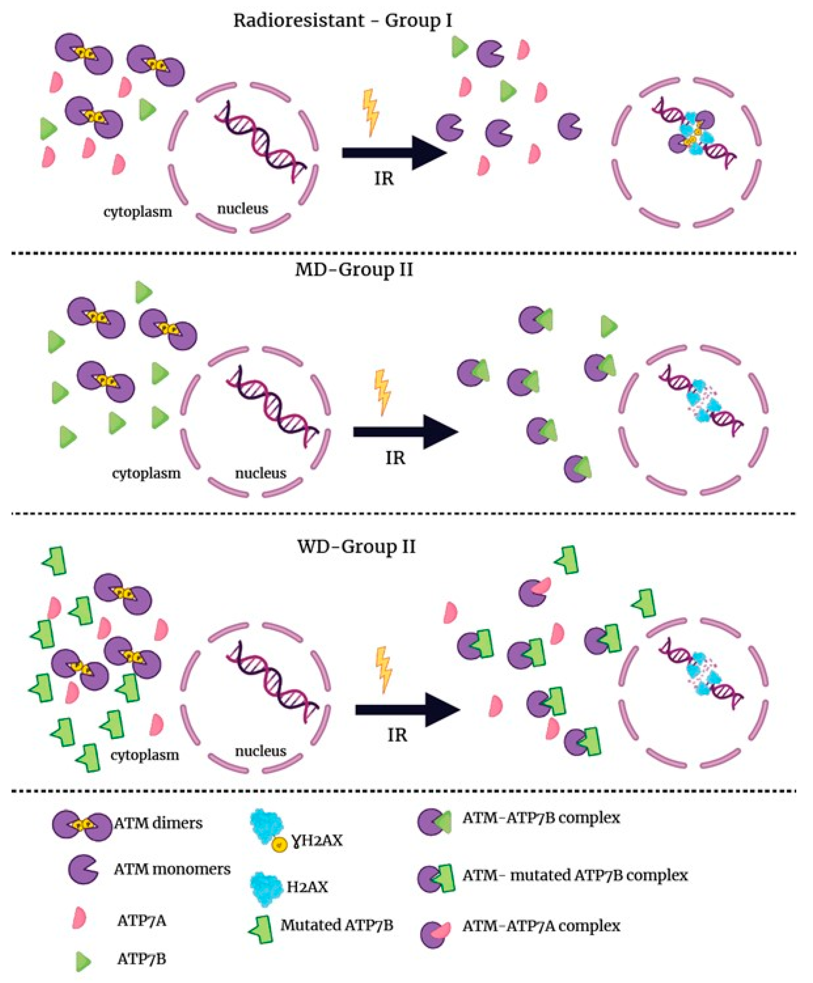 Biomolecules 13 01746 g011