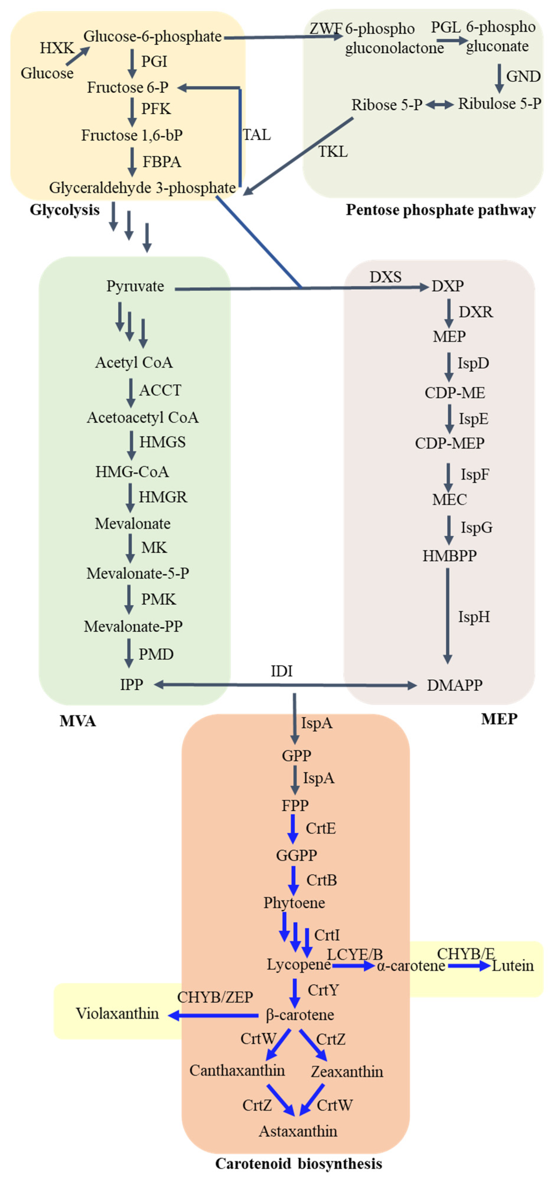 Biomolecules 13 01747 g001