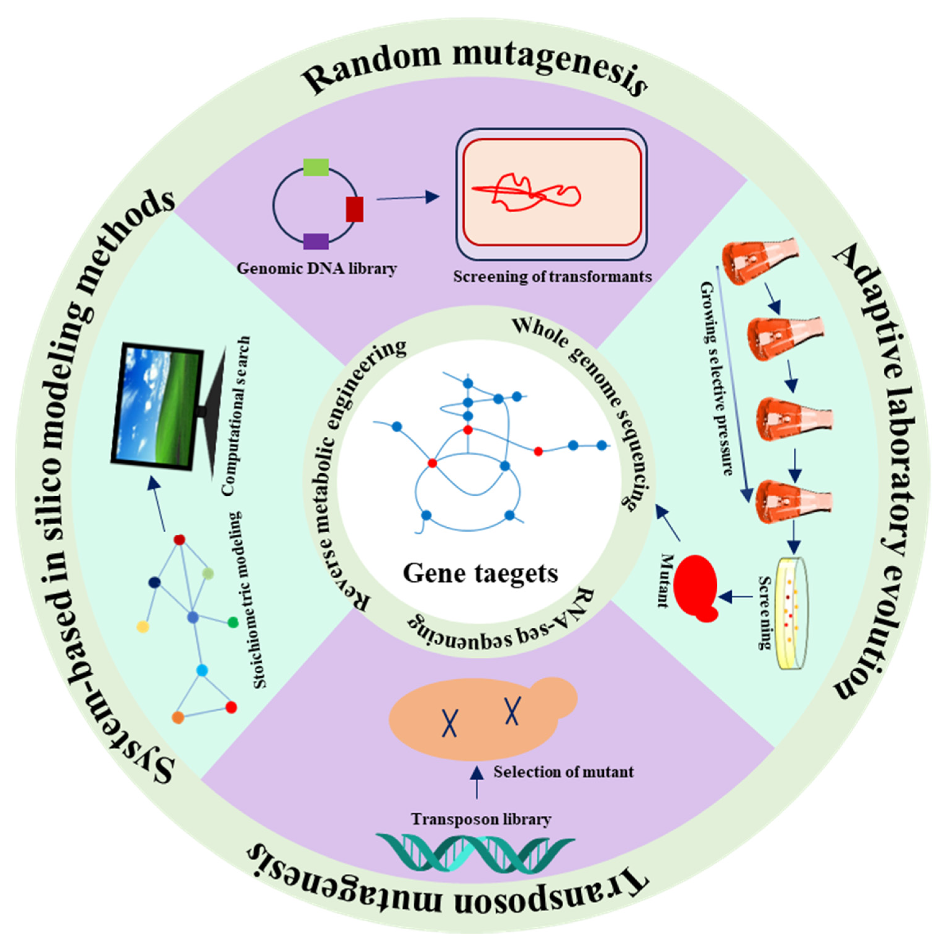 Biomolecules 13 01747 g002