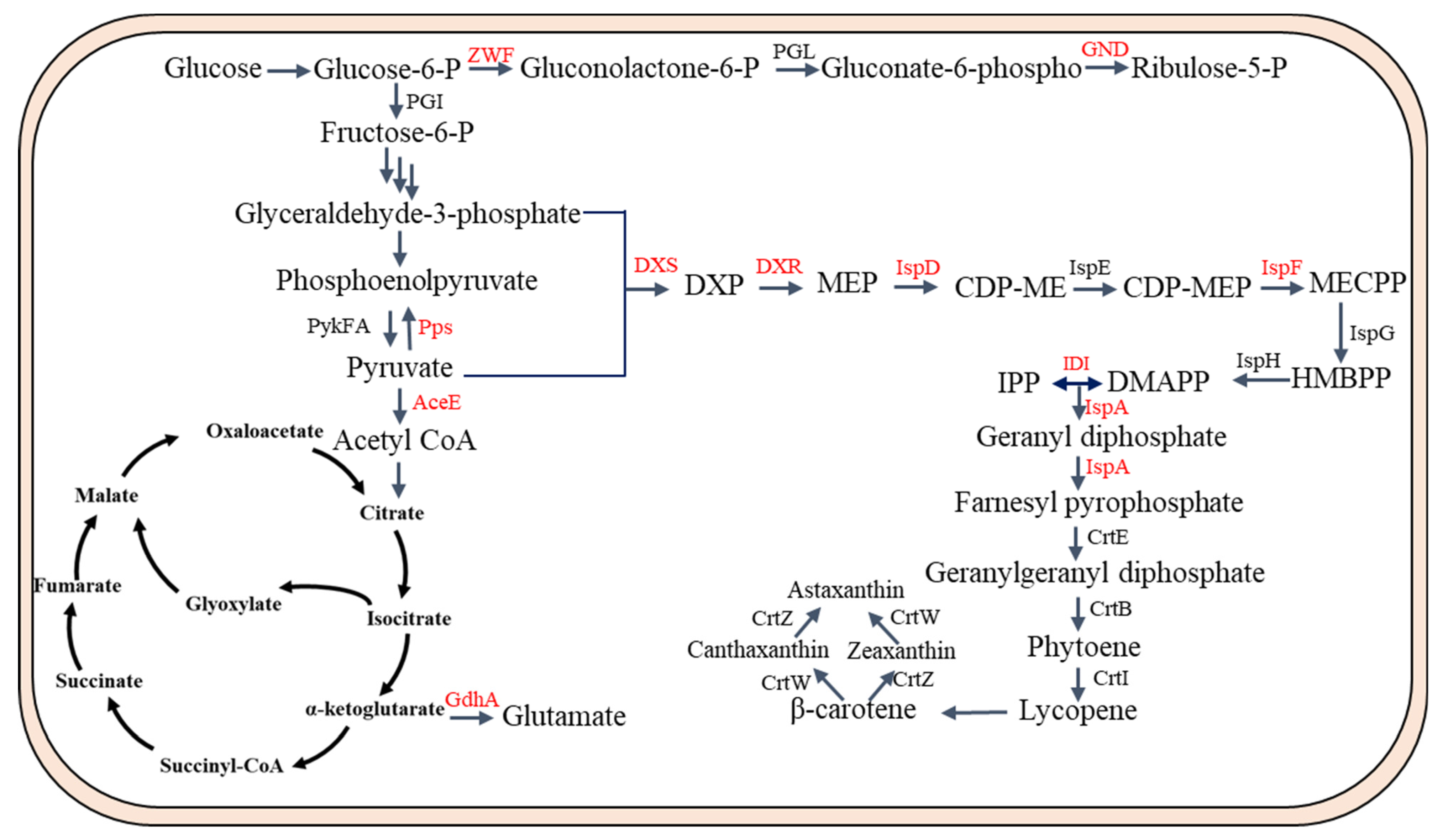 Biomolecules 13 01747 g003