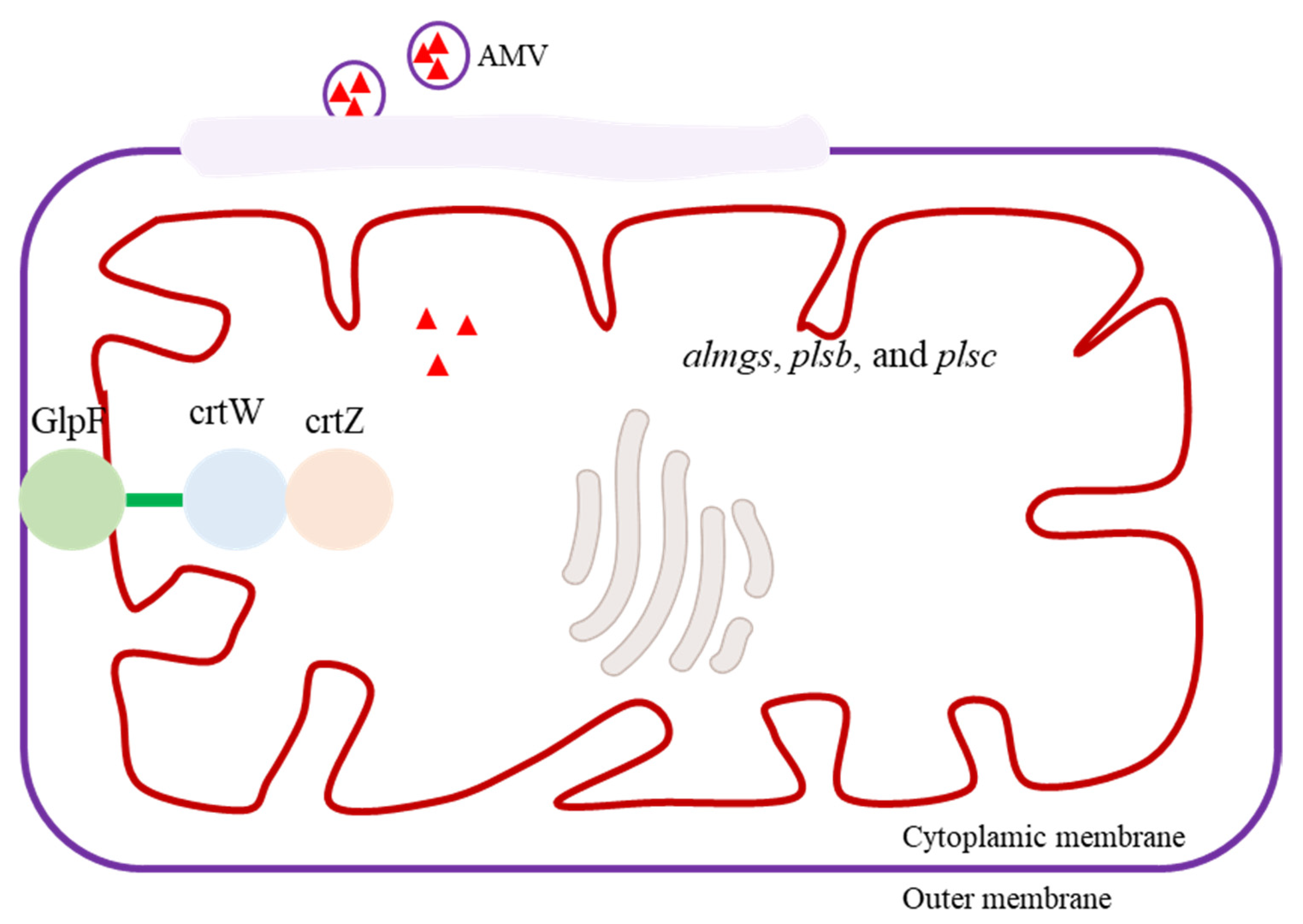 Biomolecules 13 01747 g005