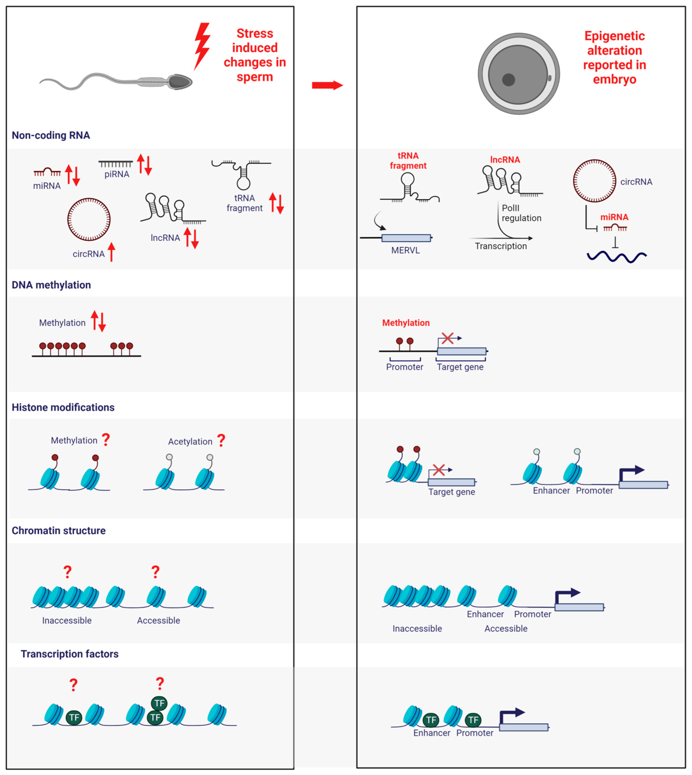 Biomolecules 13 01750 g001
