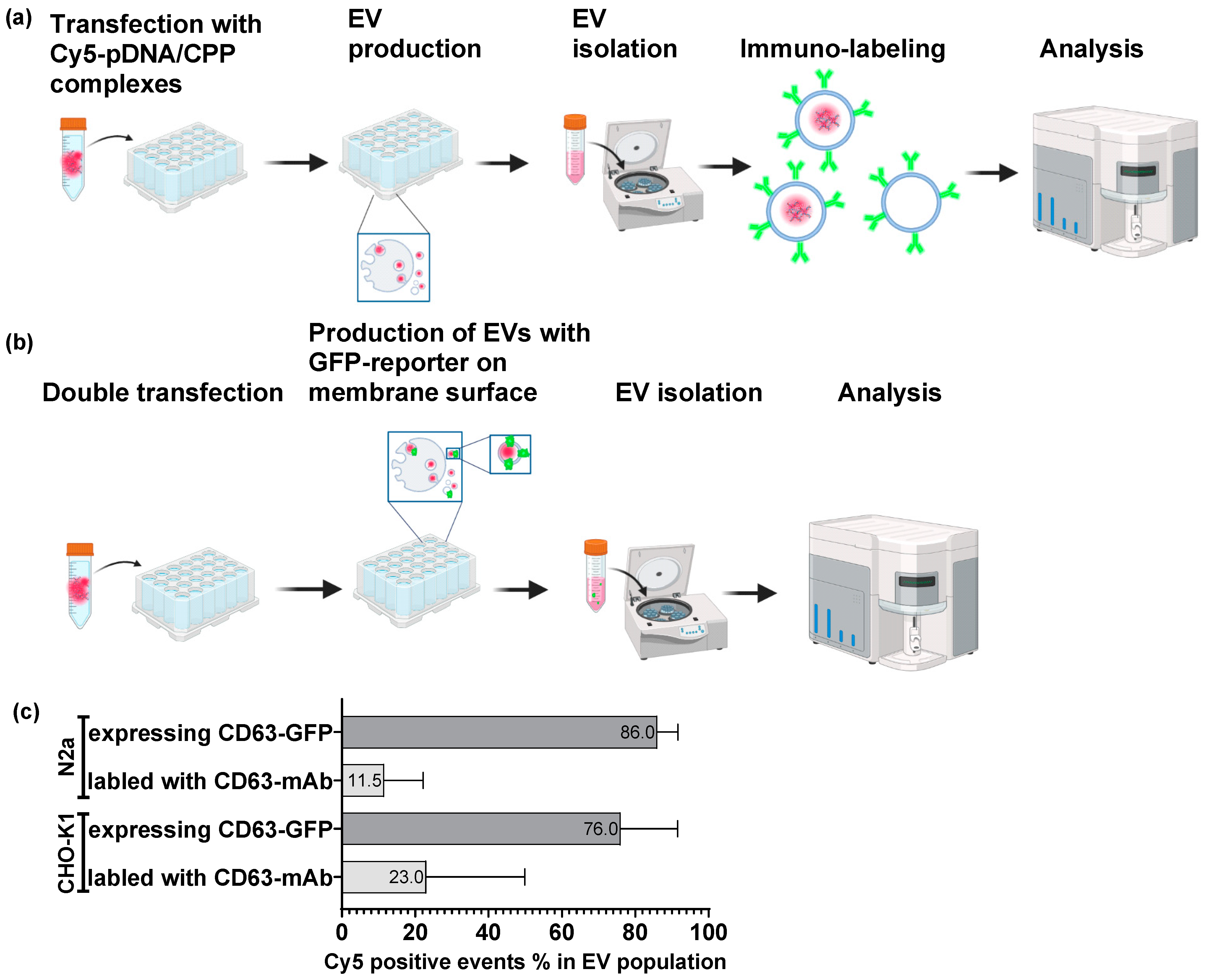 Biomolecules 13 01751 g001