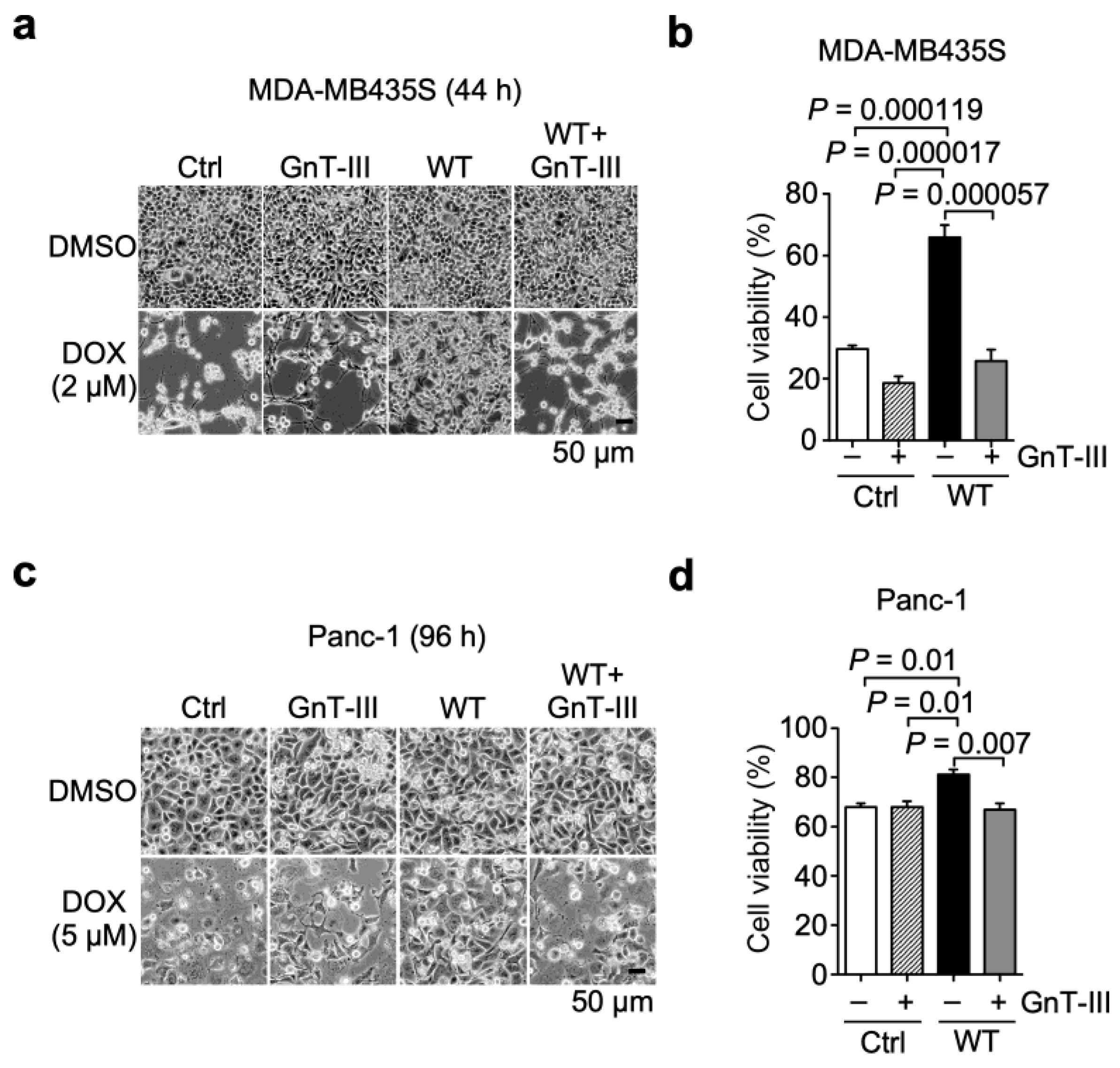 Biomolecules 13 01752 g006