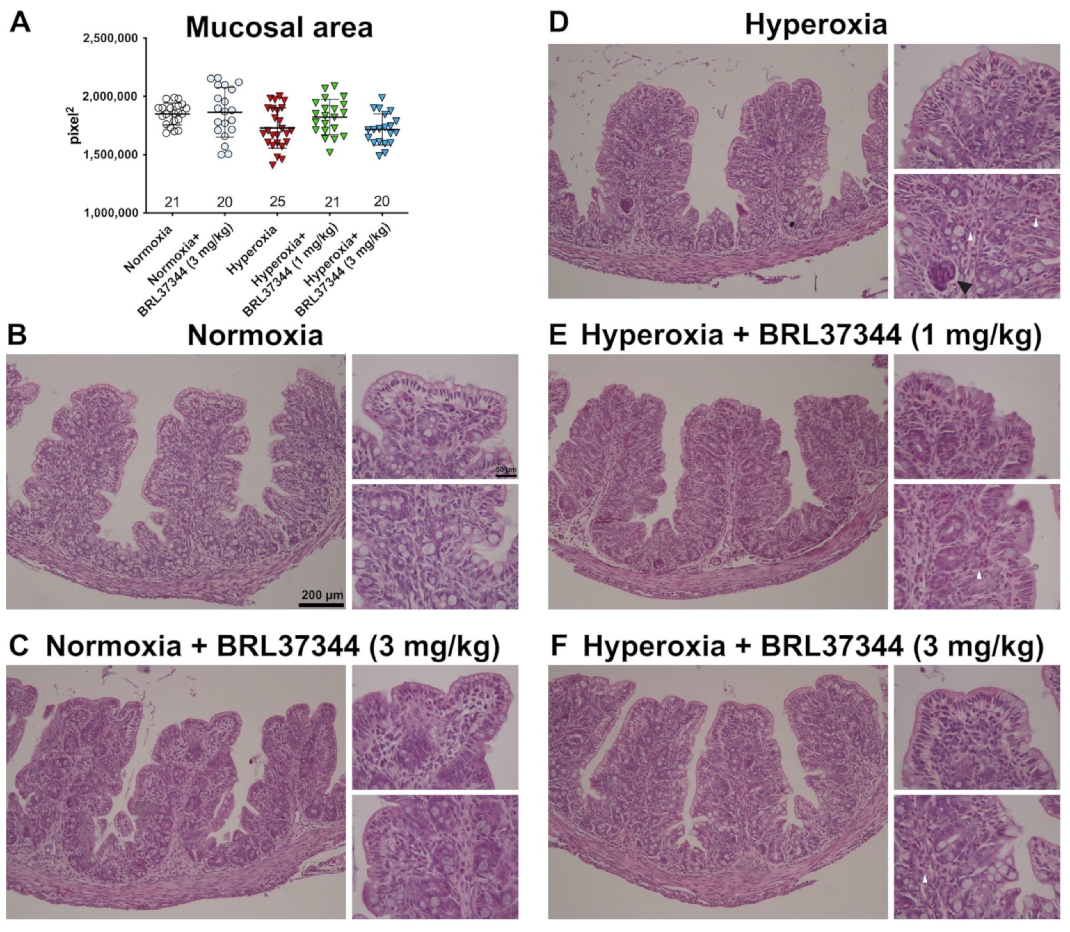 Biomolecules 13 01755 g003