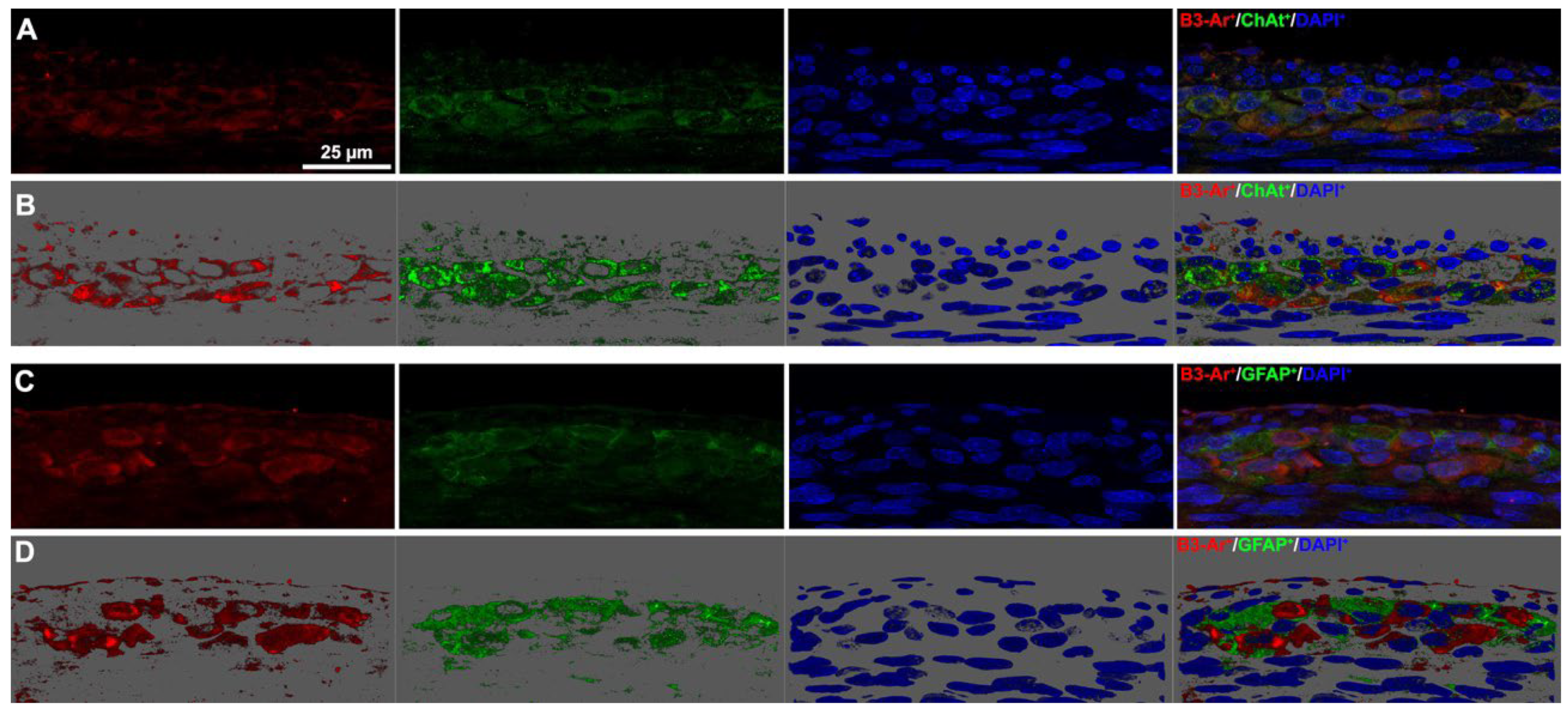 Biomolecules 13 01755 g005