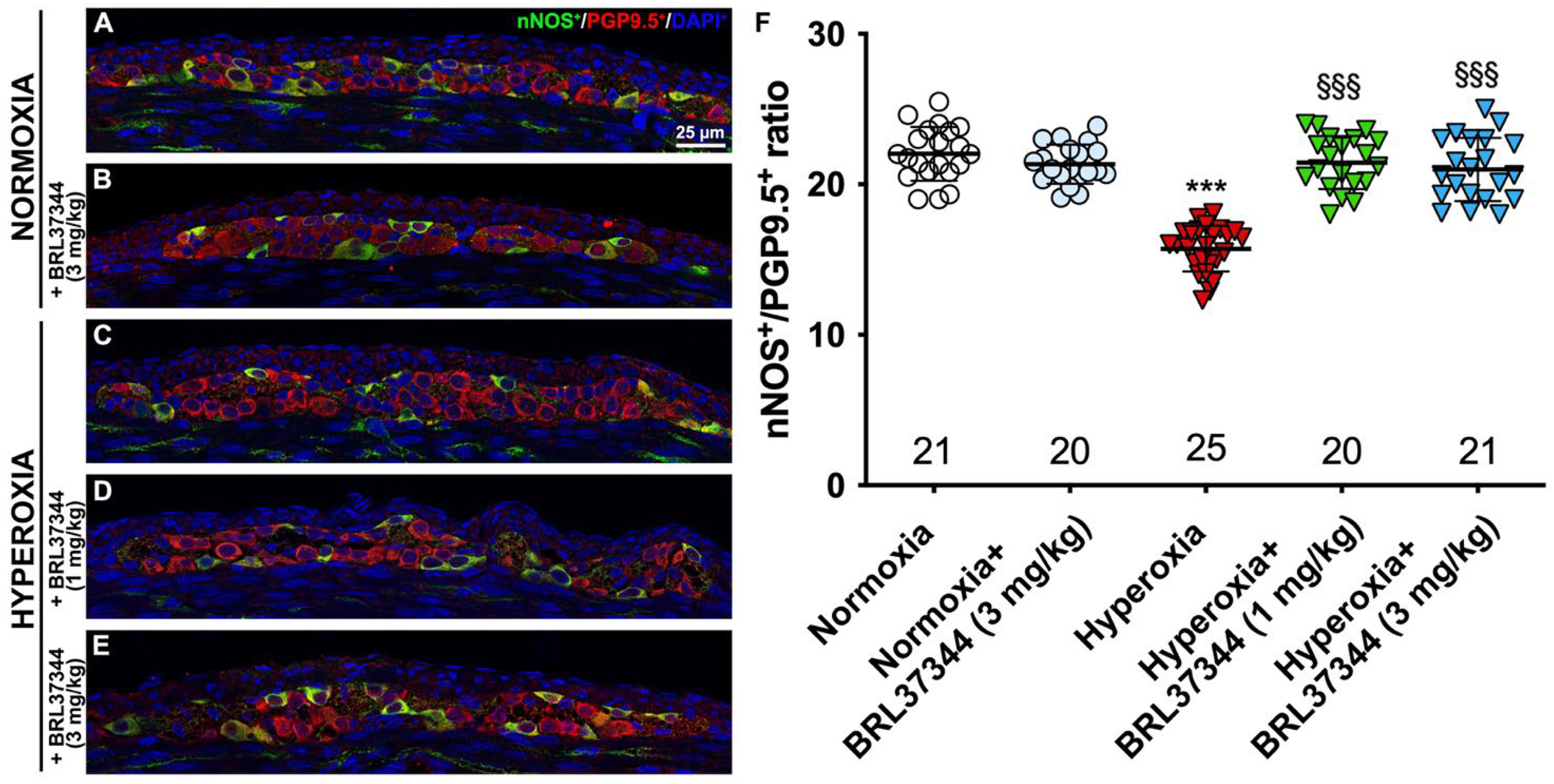 Biomolecules 13 01755 g008