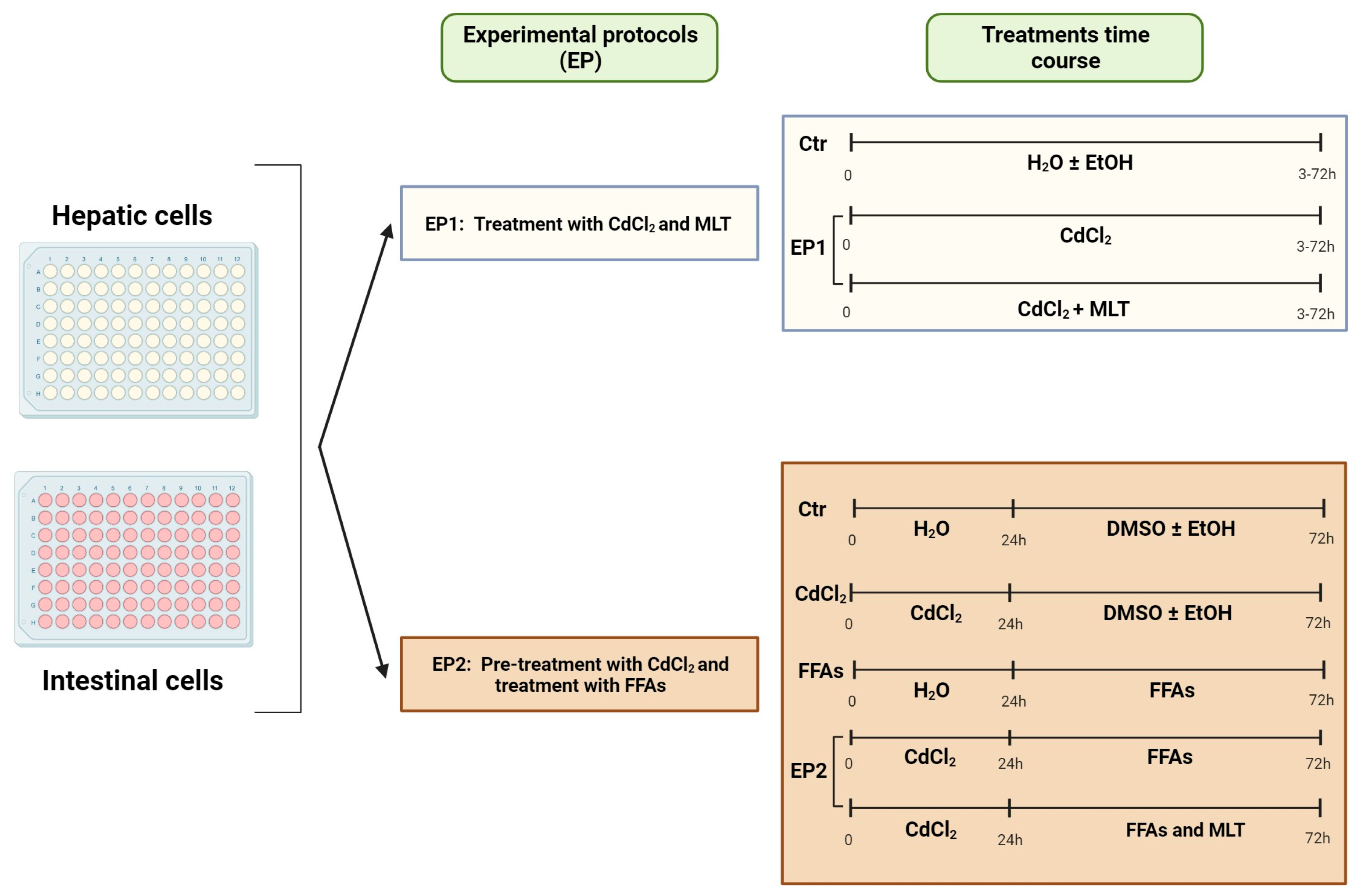 Biomolecules 13 01758 g001