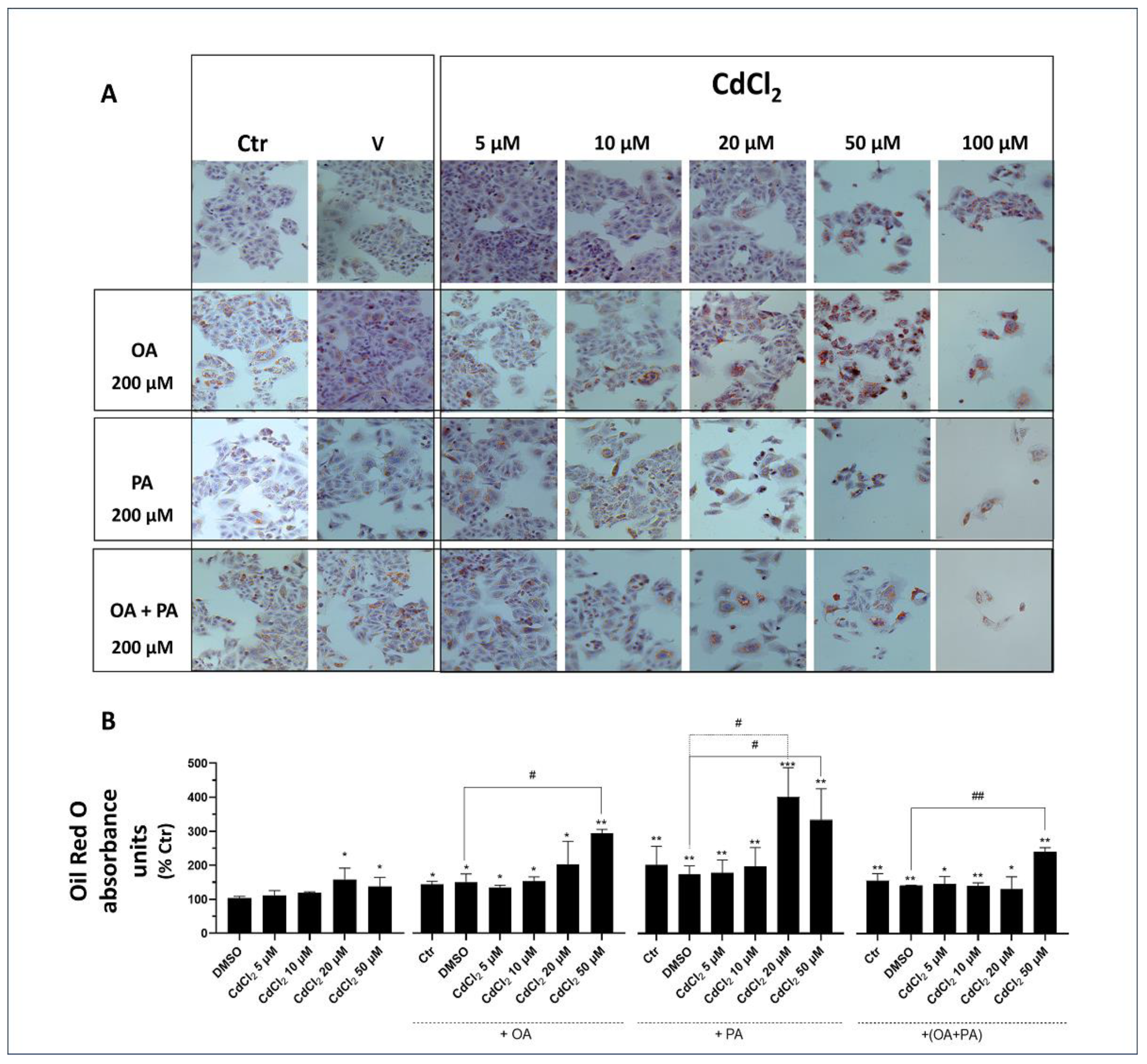 Biomolecules 13 01758 g004