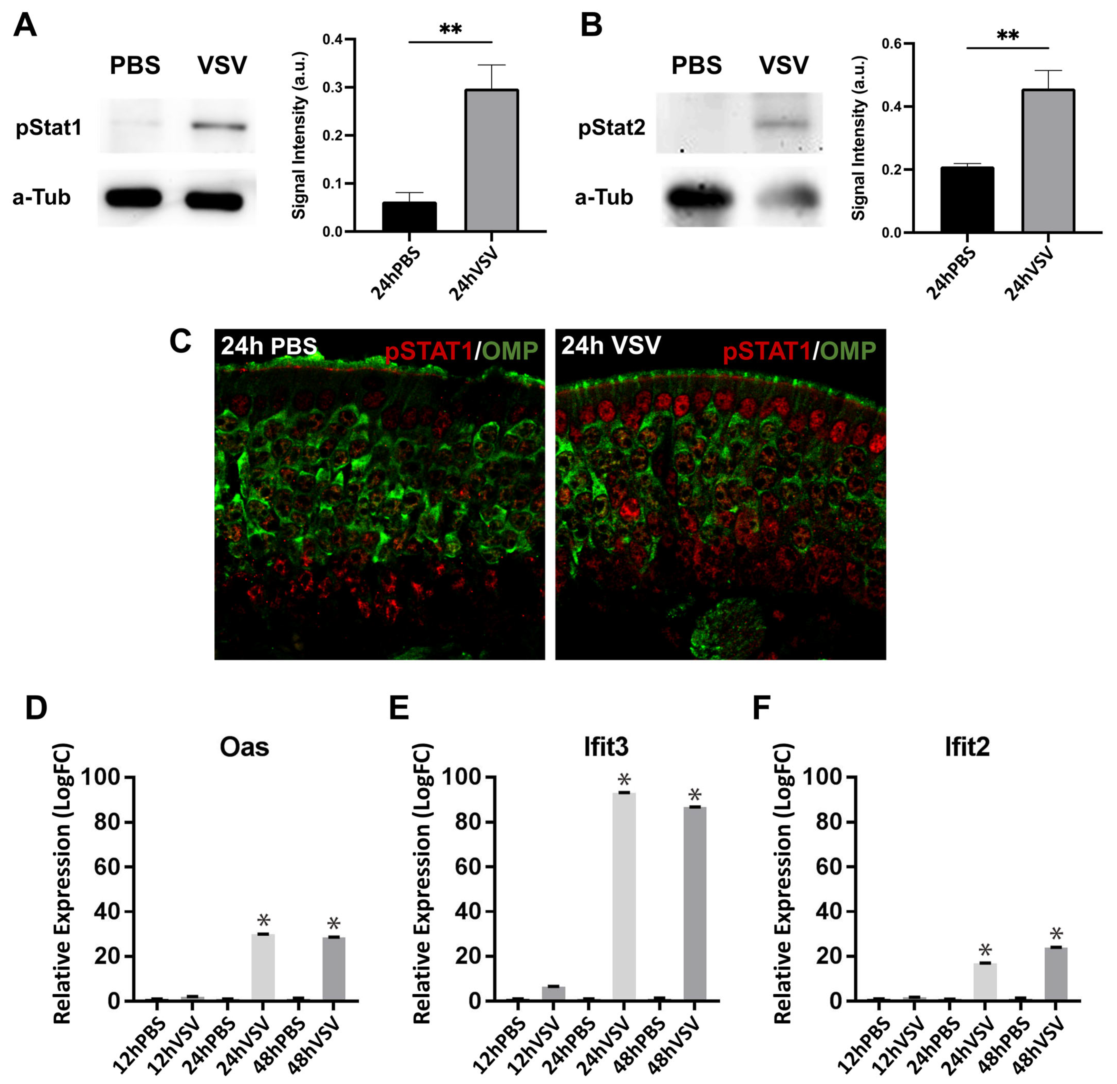 Biomolecules 13 01762 g005 Biomolecules 13 01762 g005