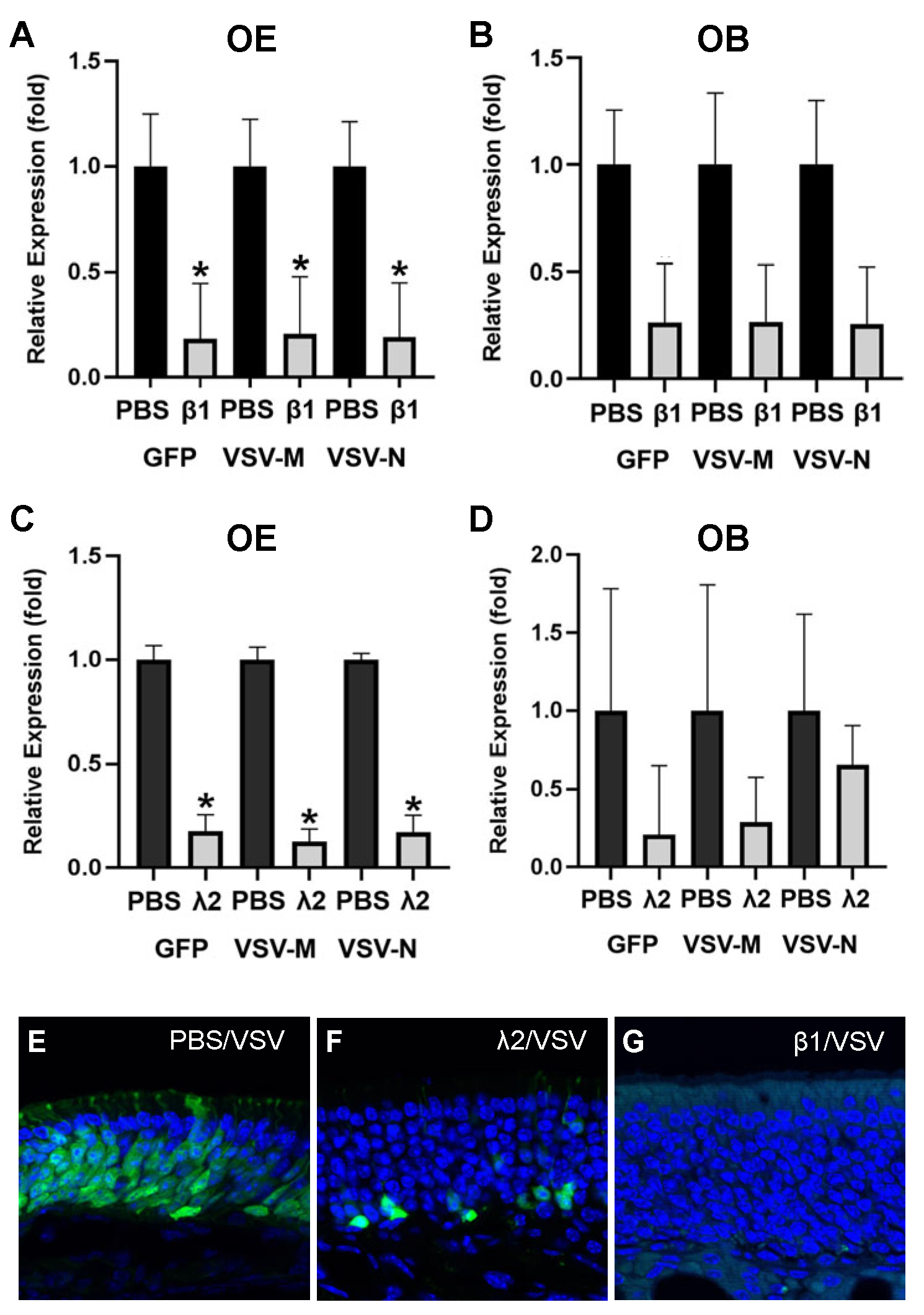 Biomolecules 13 01762 g007 Biomolecules 13 01762 g007