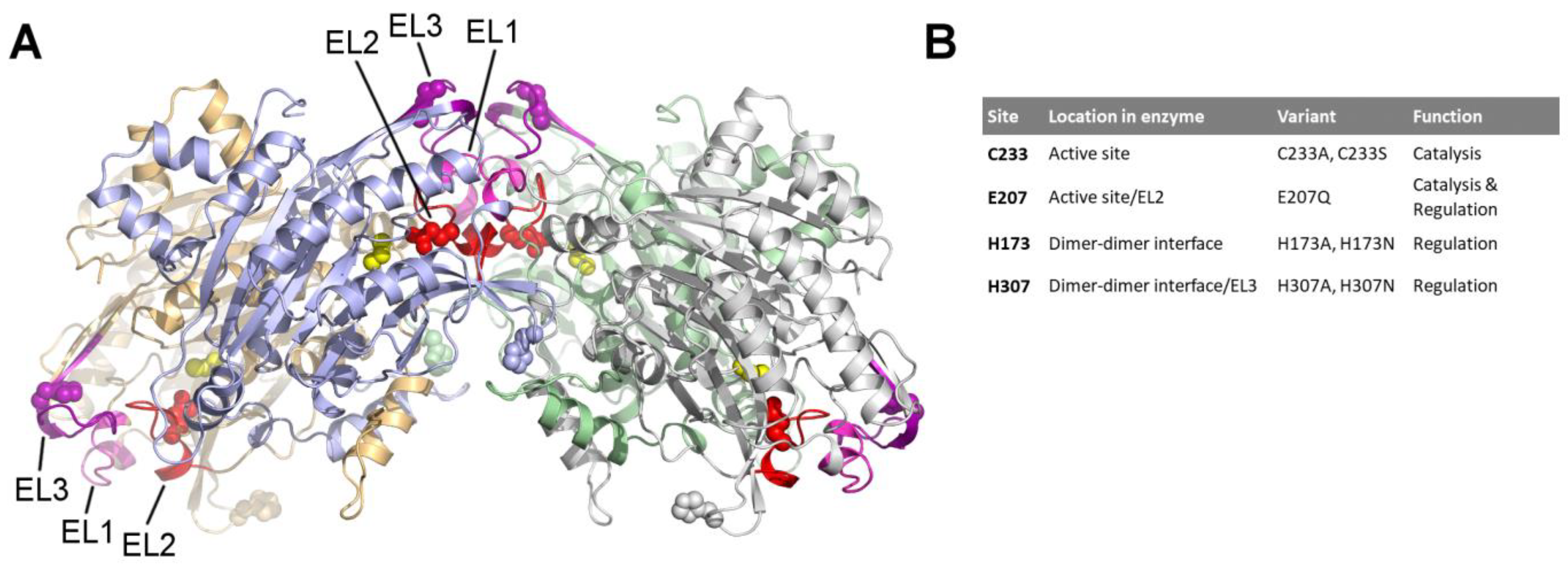 Biomolecules 13 01763 g001