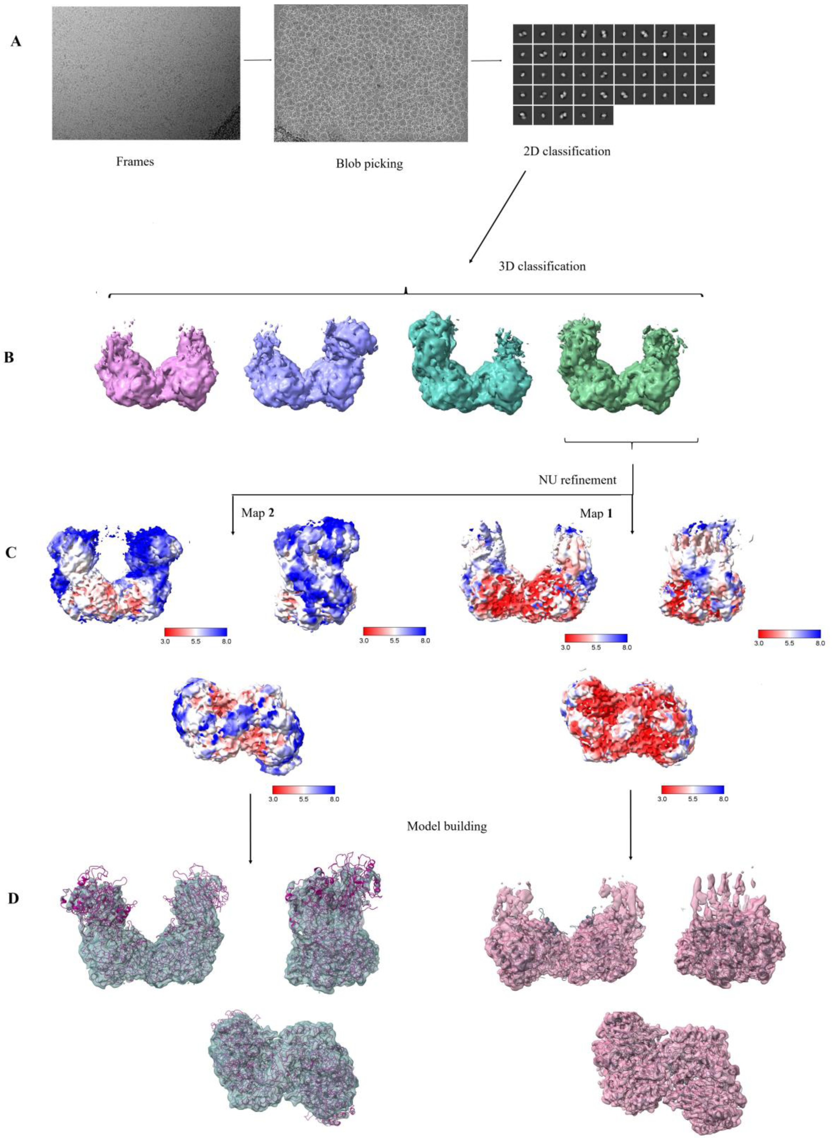 Biomolecules 13 01763 g006