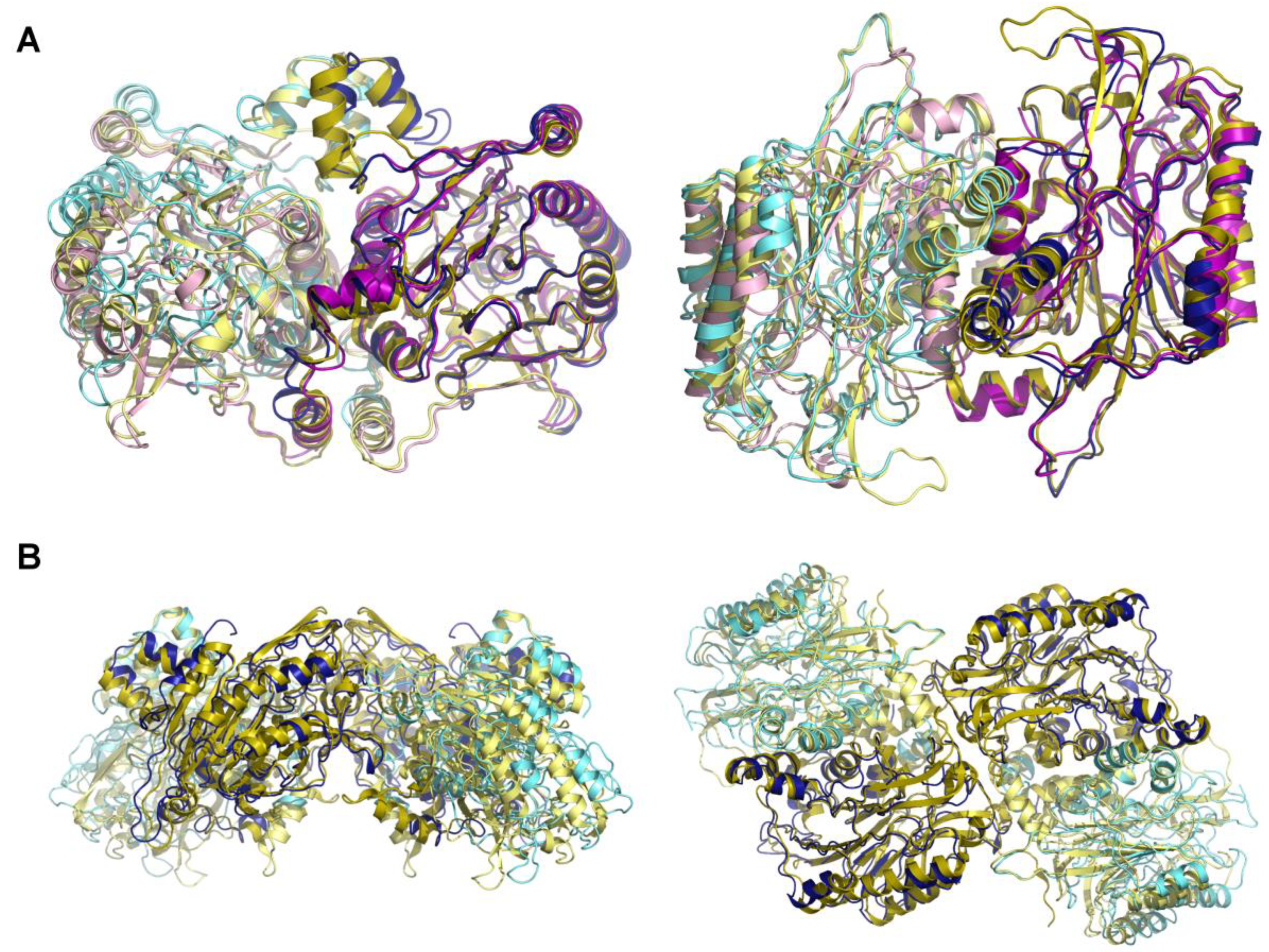 Biomolecules 13 01763 g007