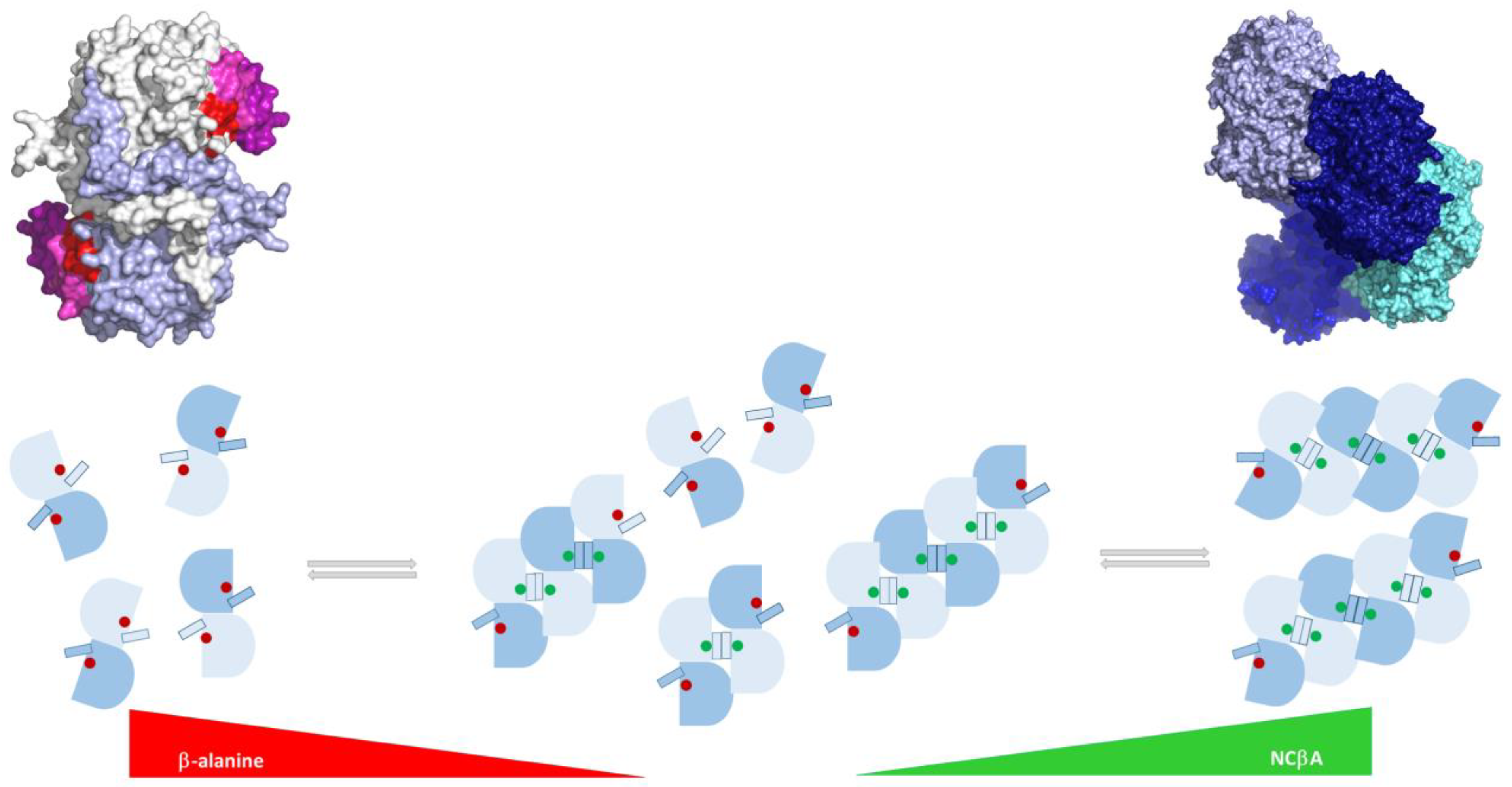 Biomolecules 13 01763 g008