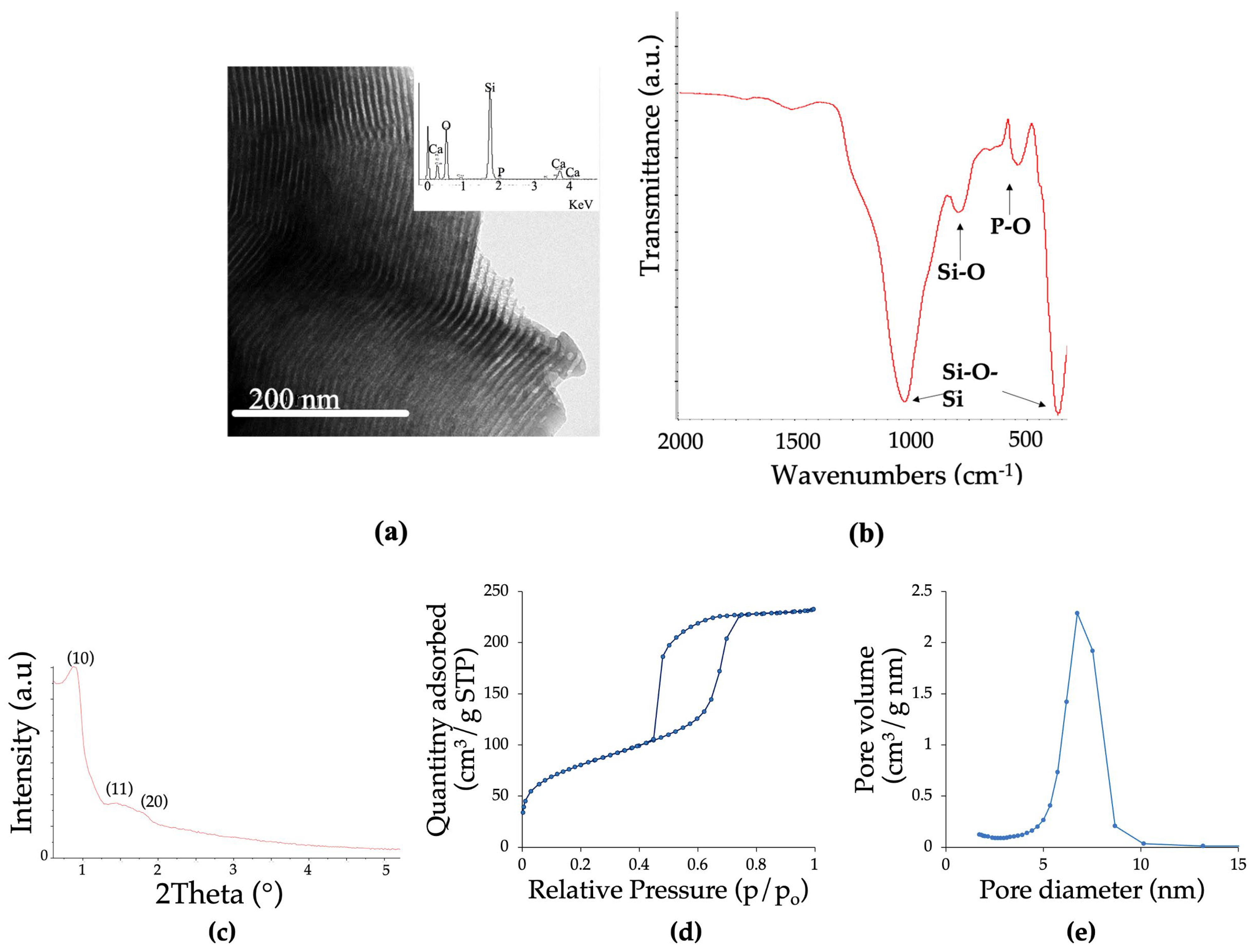 Biomolecules 13 01764 g001