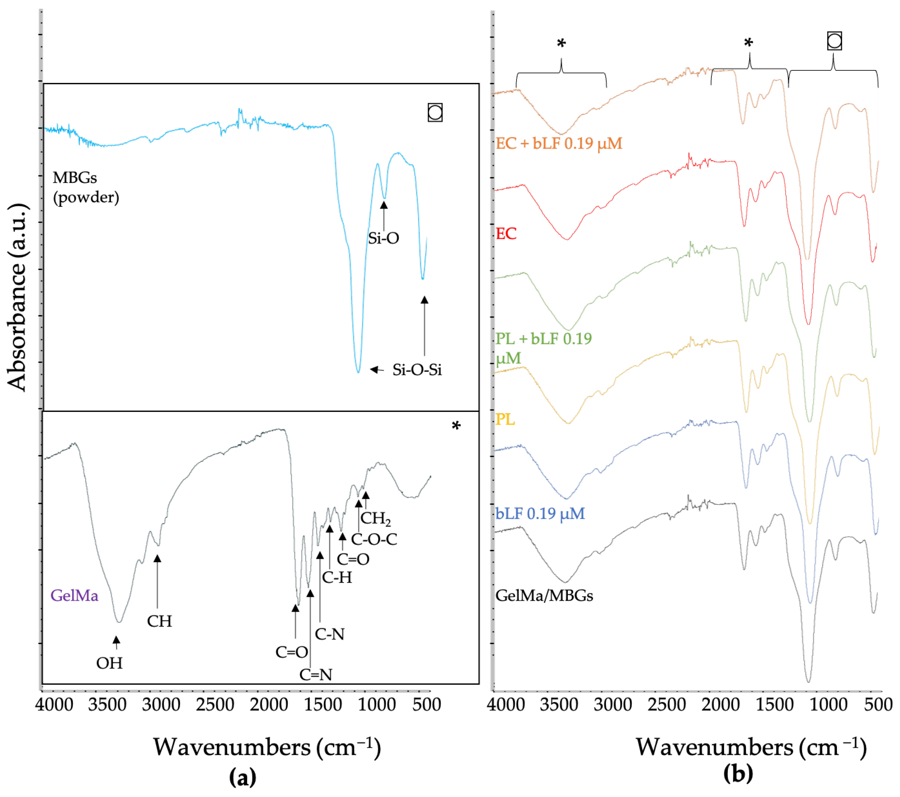 Biomolecules 13 01764 g006