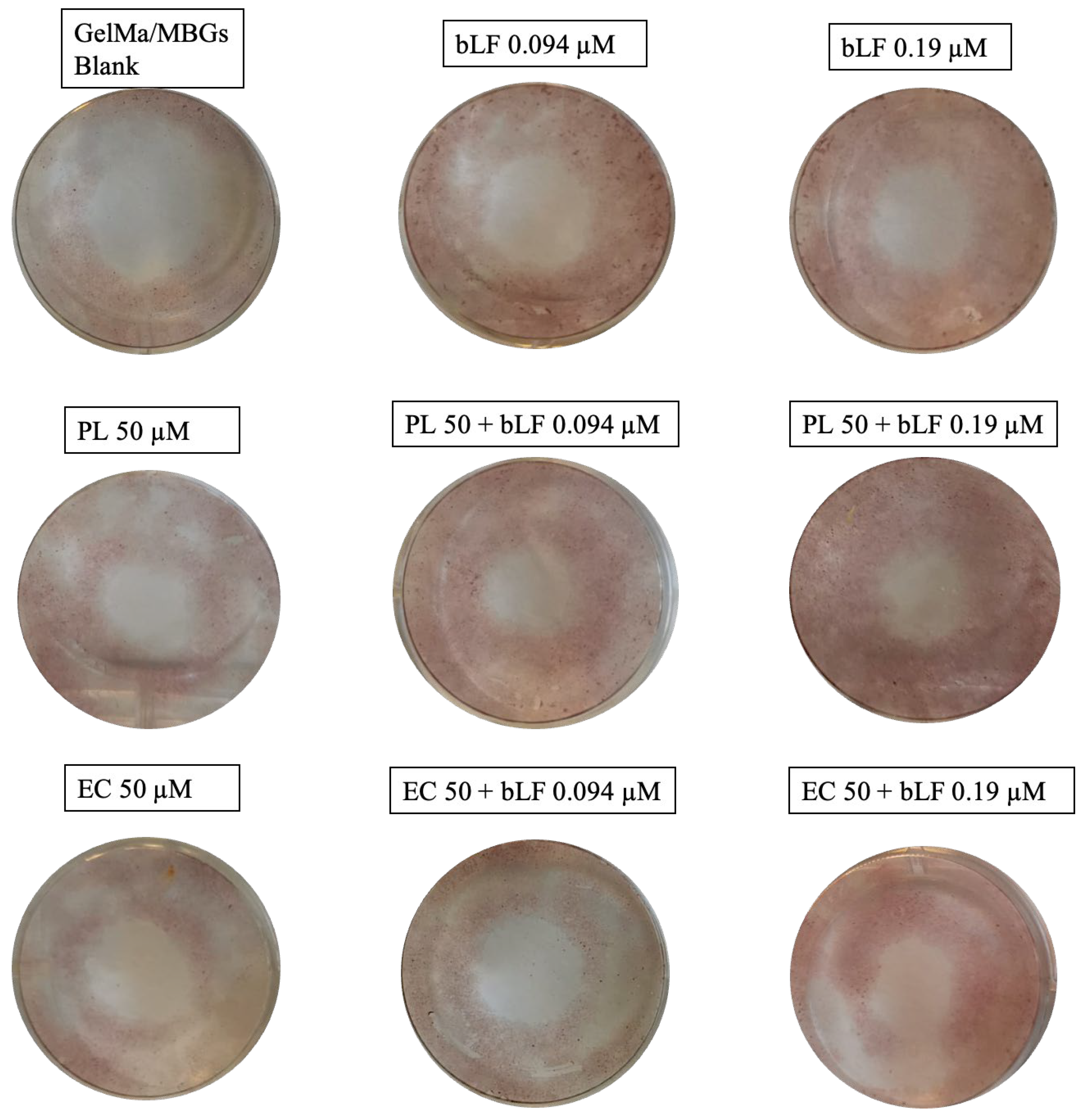 Biomolecules 13 01764 g012