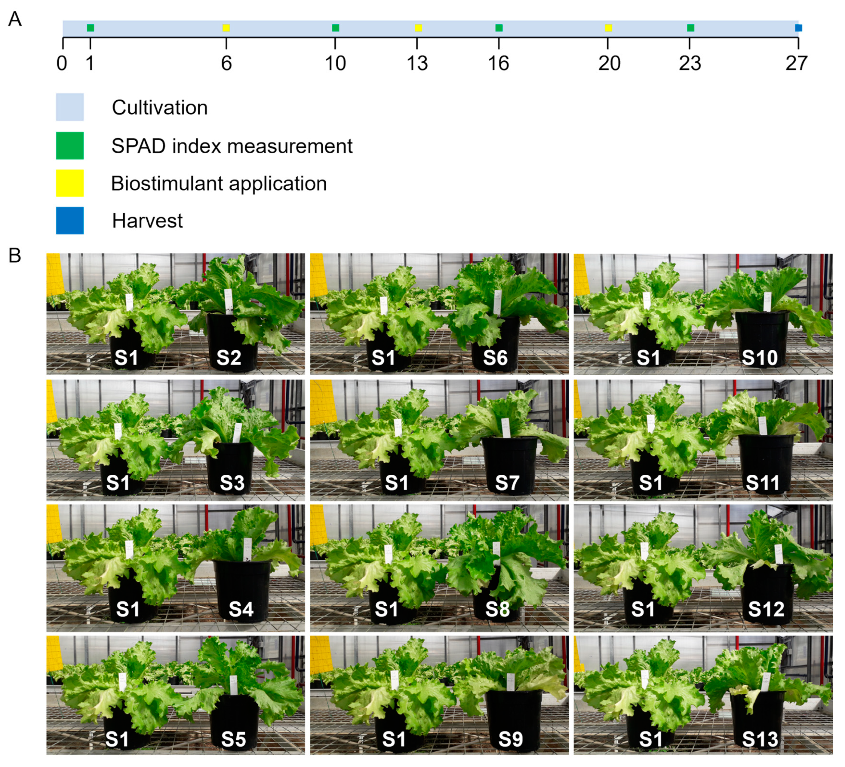 Biomolecules 13 01765 g001