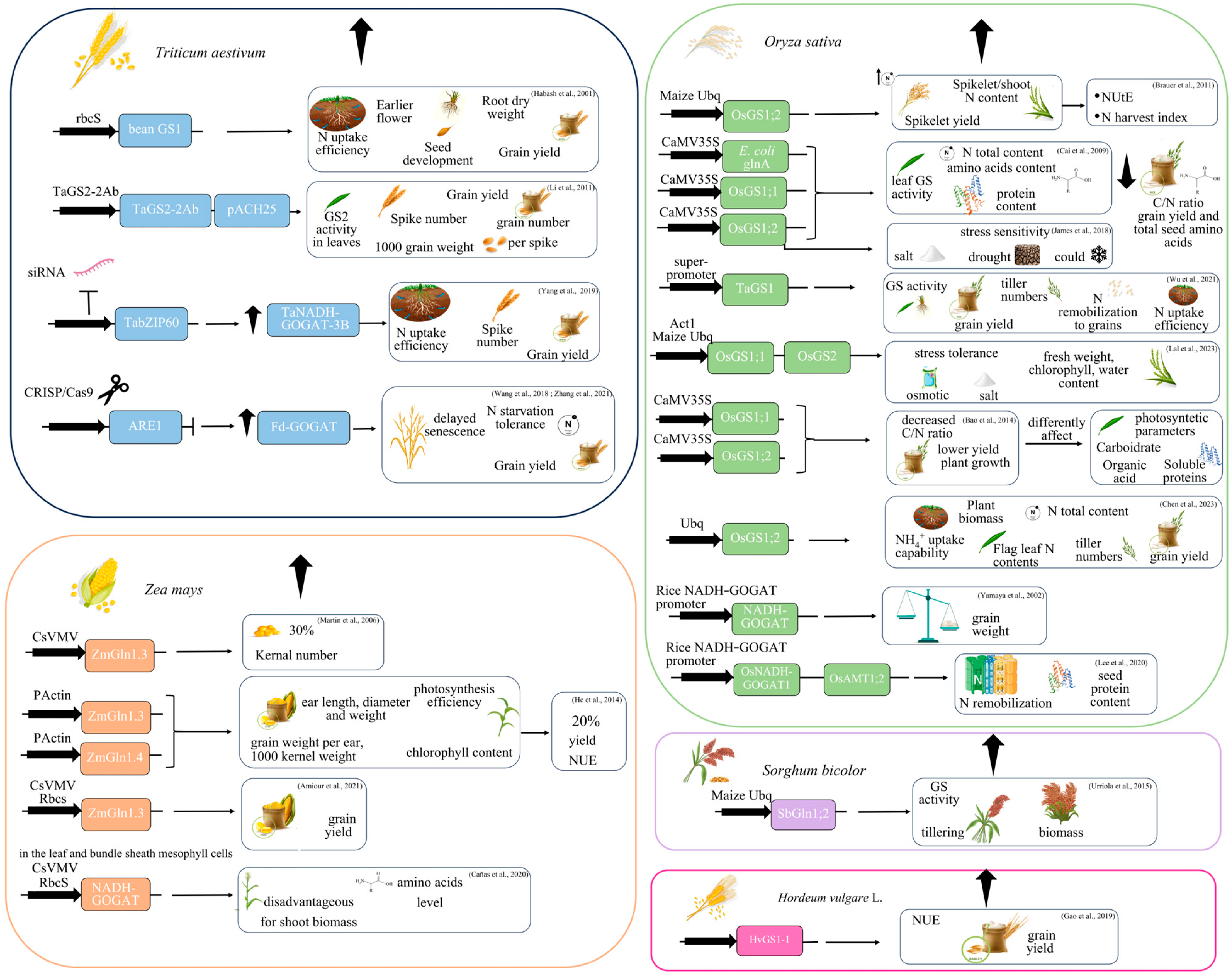 Biomolecules 13 01771 g002 Biomolecules 13 01771 g002