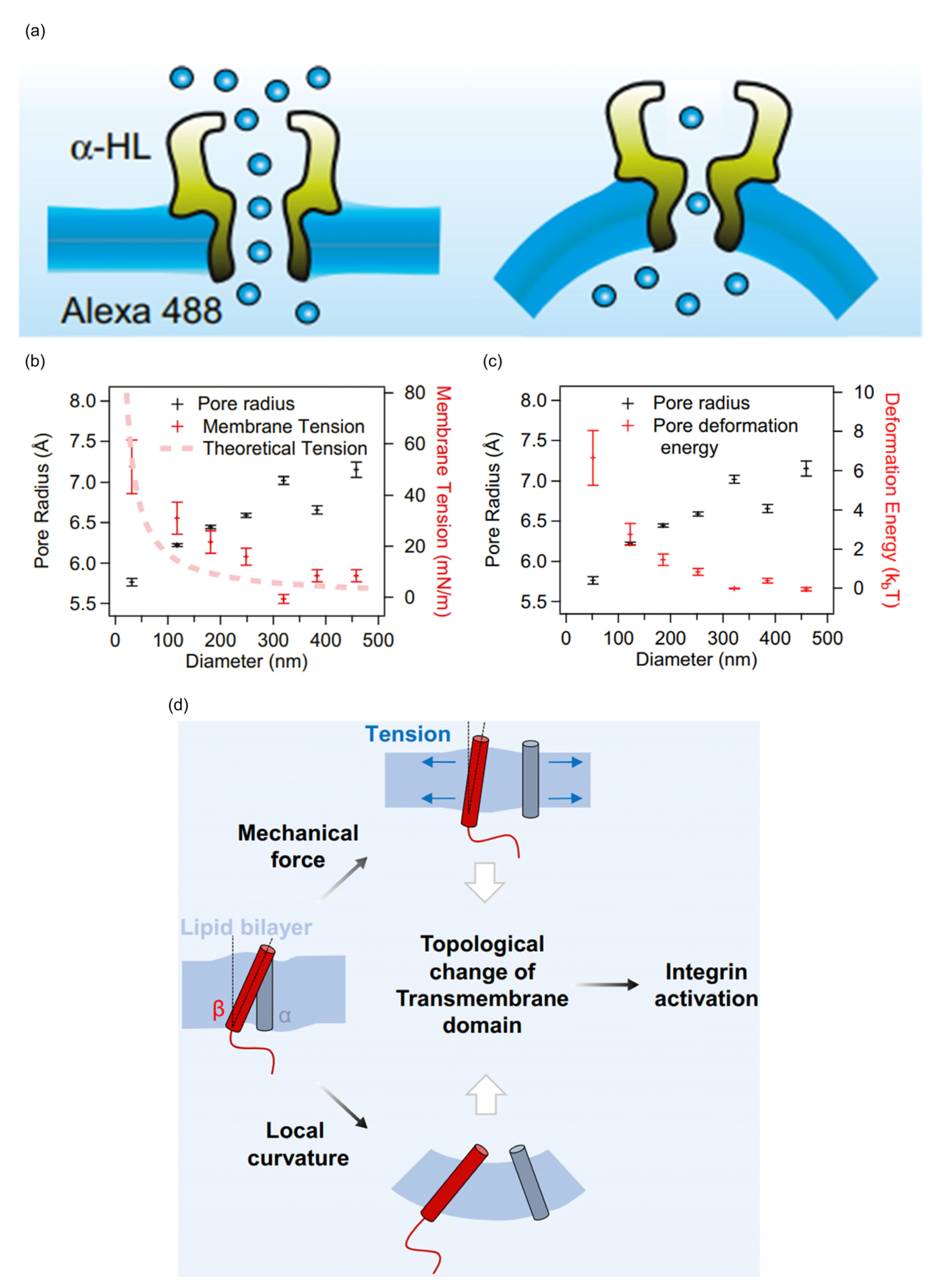 Biomolecules 13 01772 g005