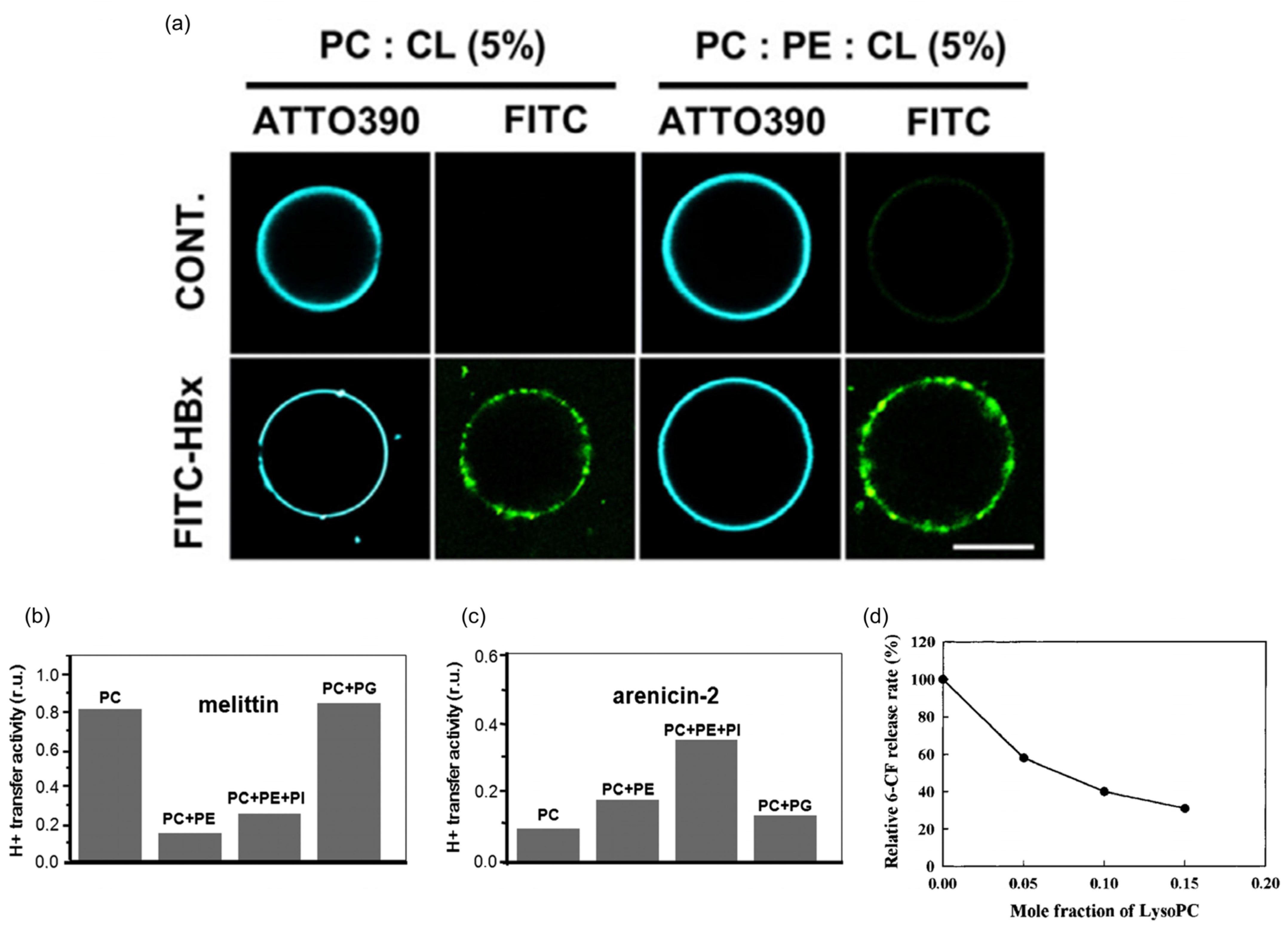 Biomolecules 13 01772 g006