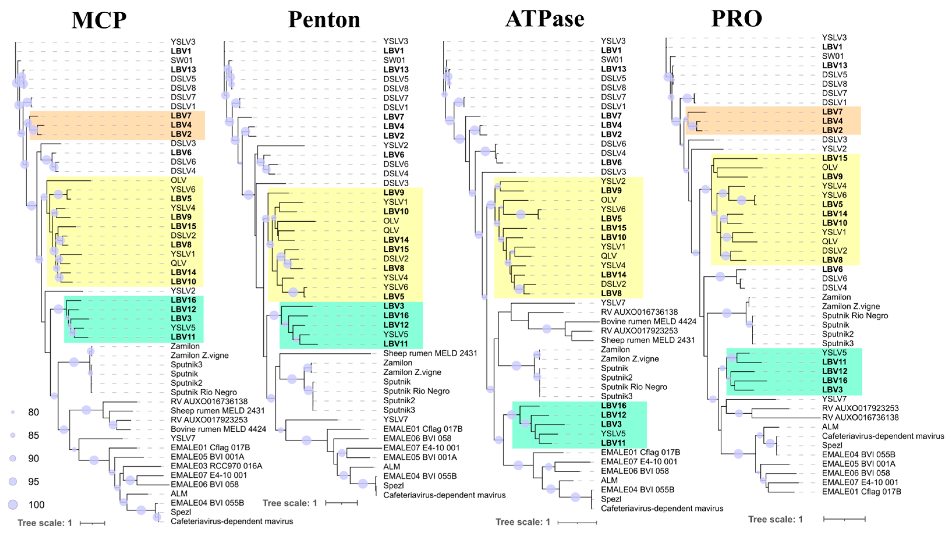 Biomolecules 13 01773 g004