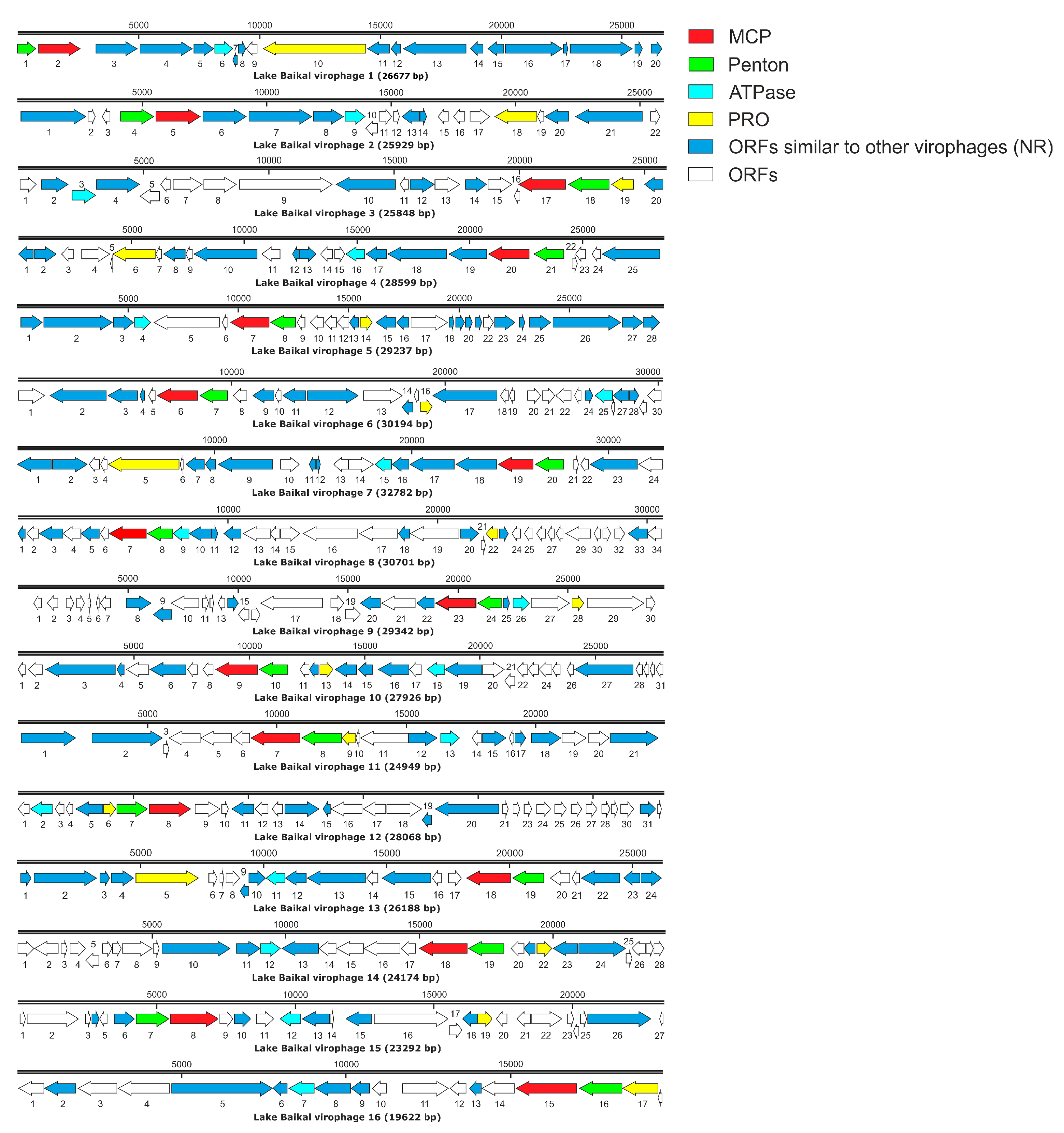 Biomolecules 13 01773 g005