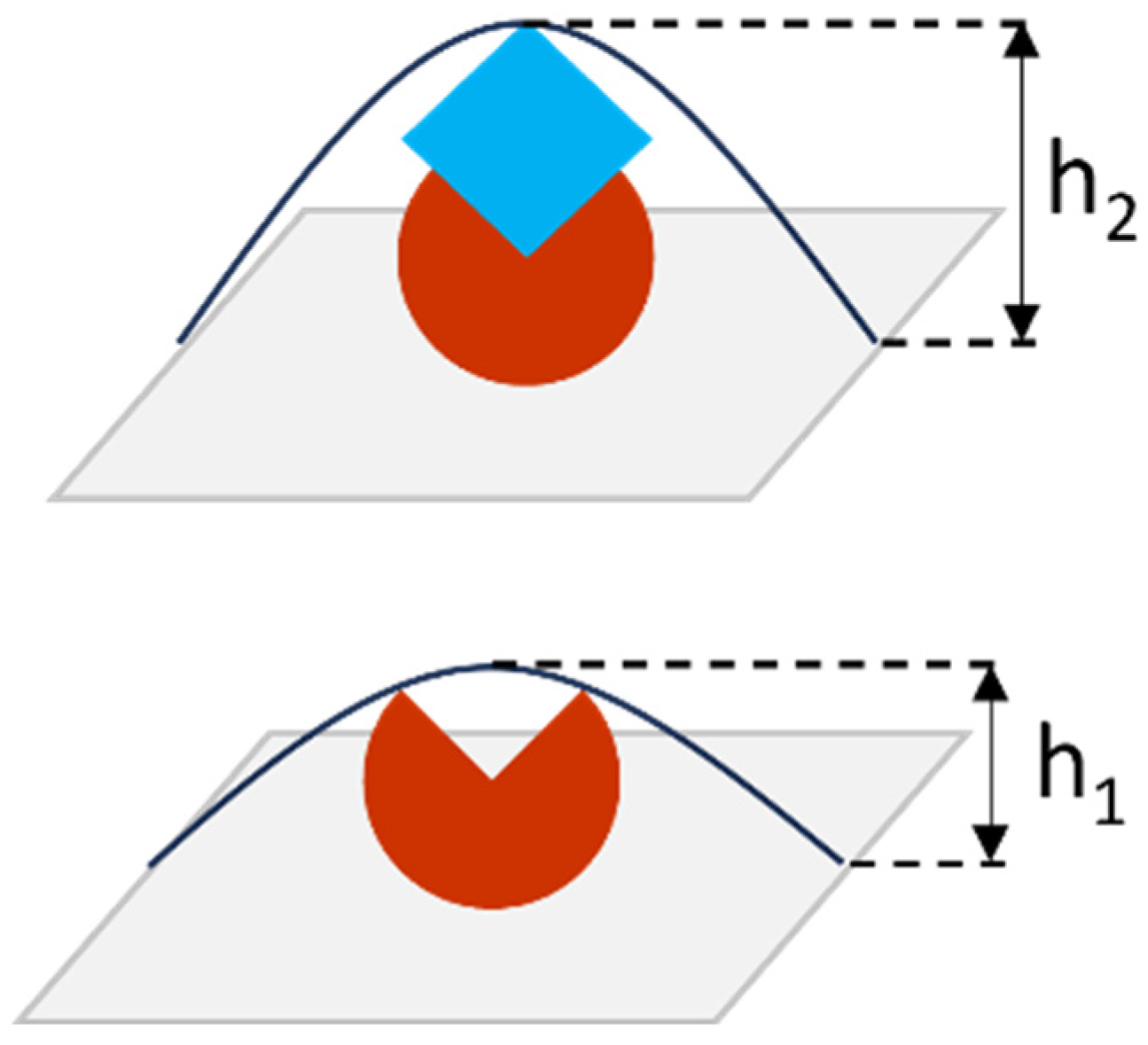 Biomolecules 13 01776 g002