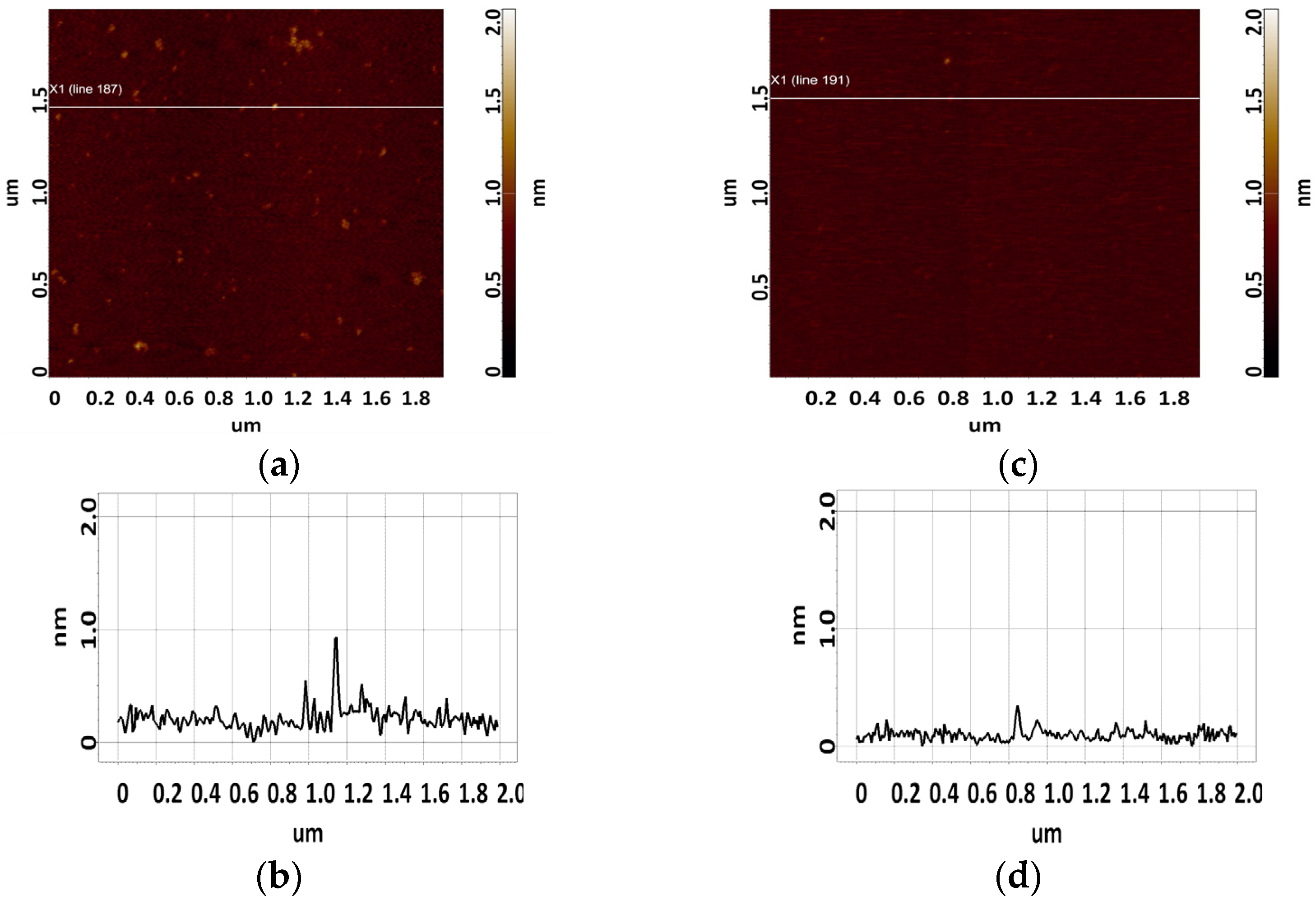 Biomolecules 13 01776 g003