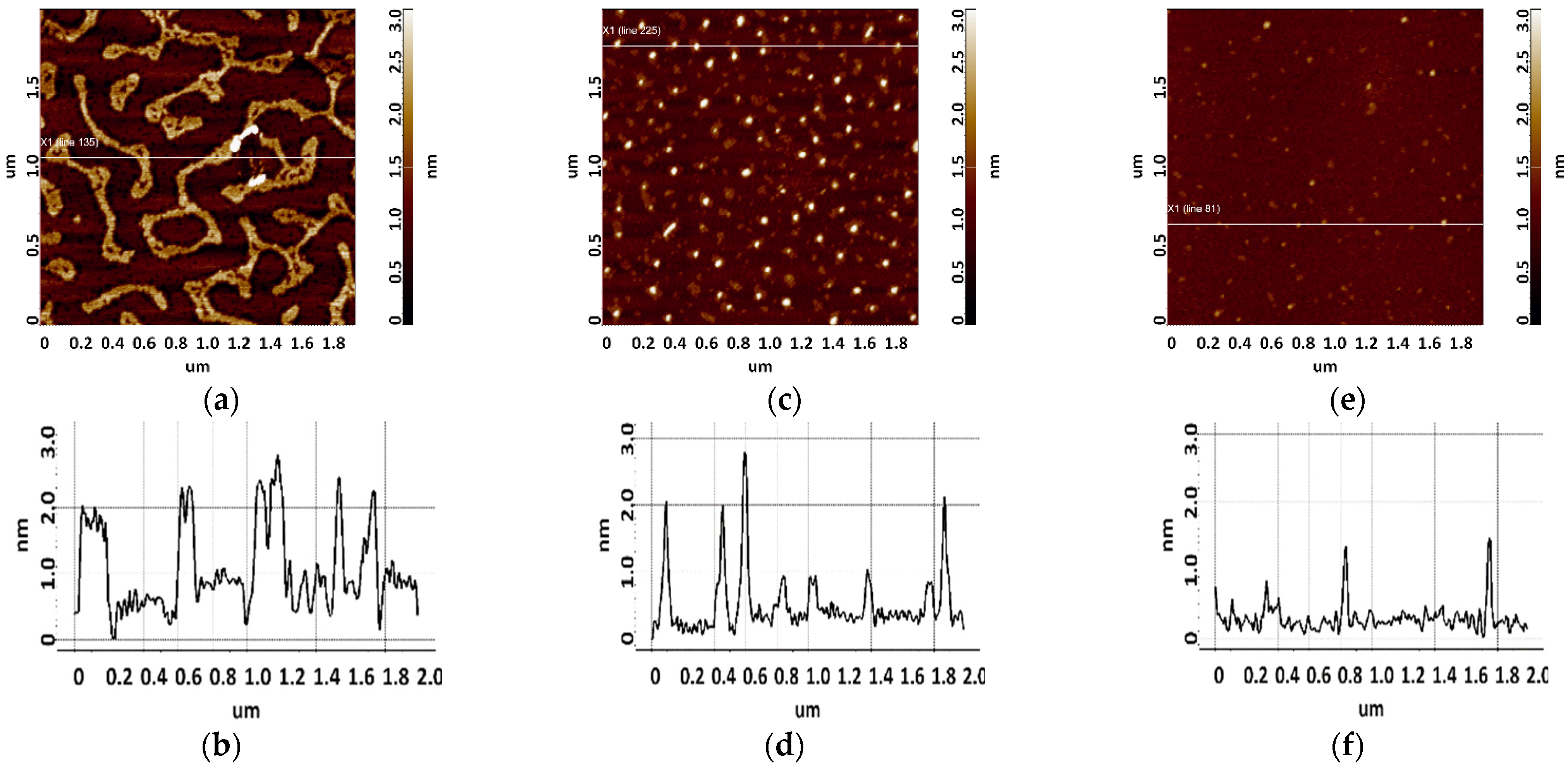 Biomolecules 13 01776 g005