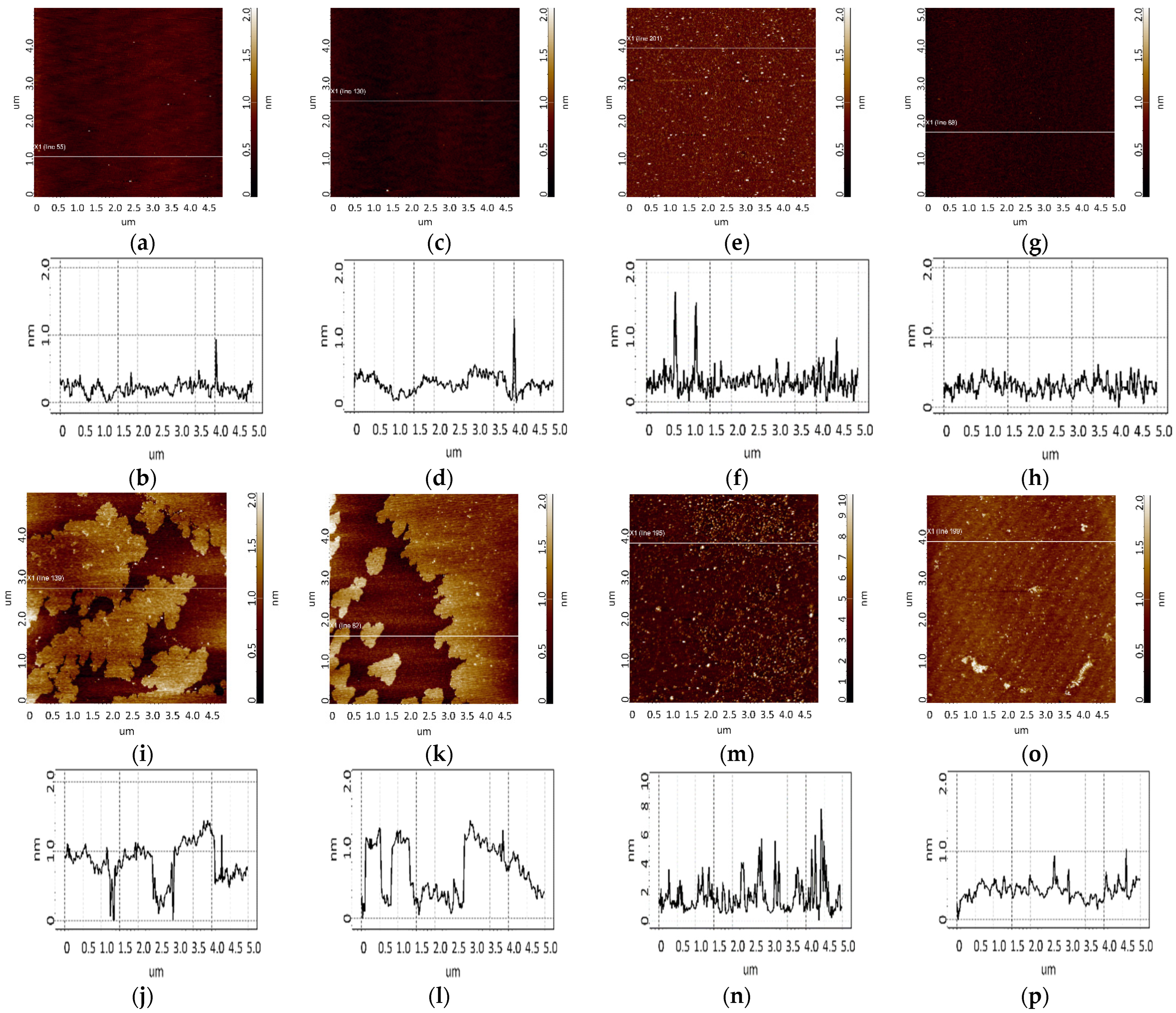 Biomolecules 13 01776 g009