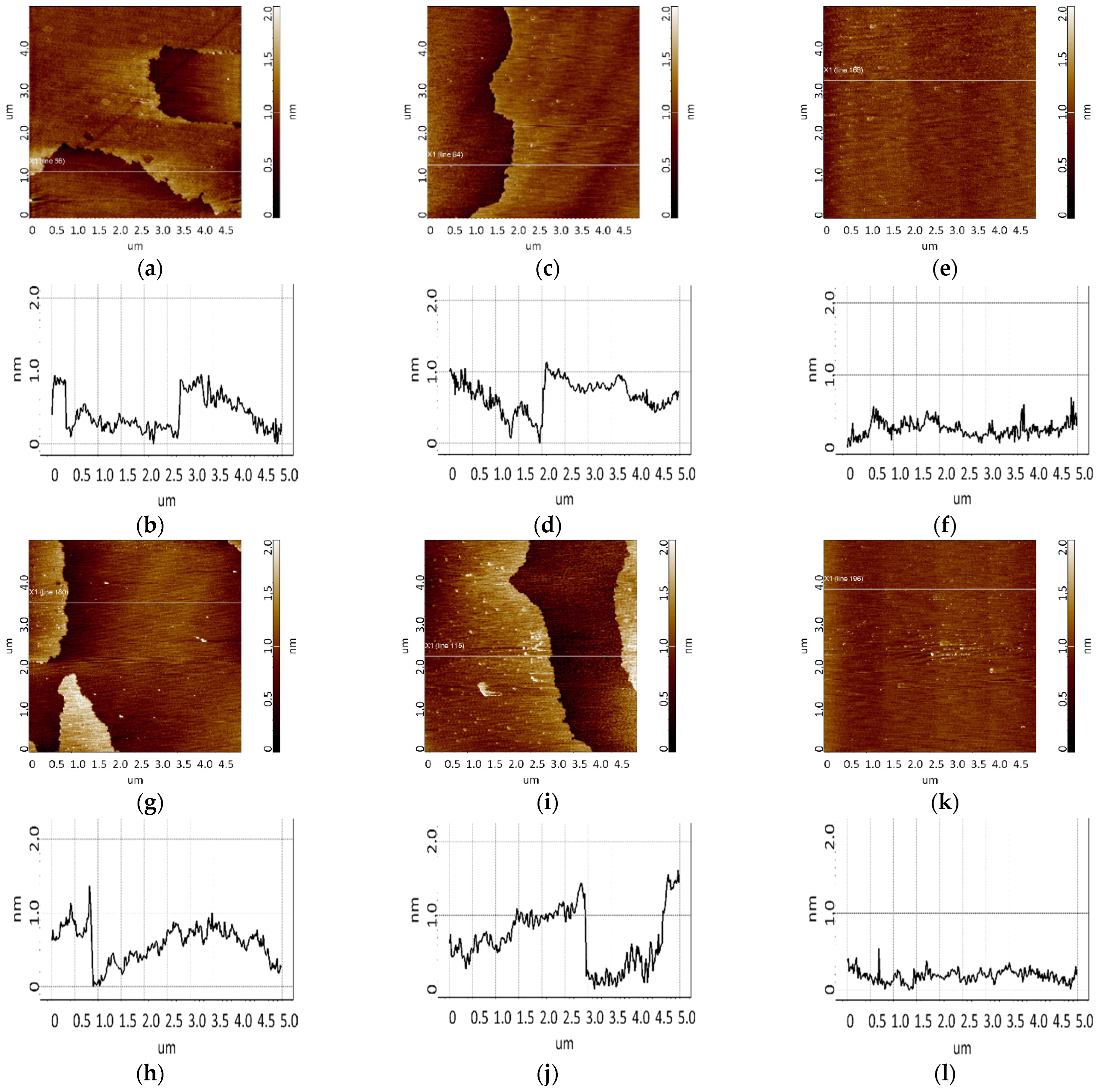 Biomolecules 13 01776 g010