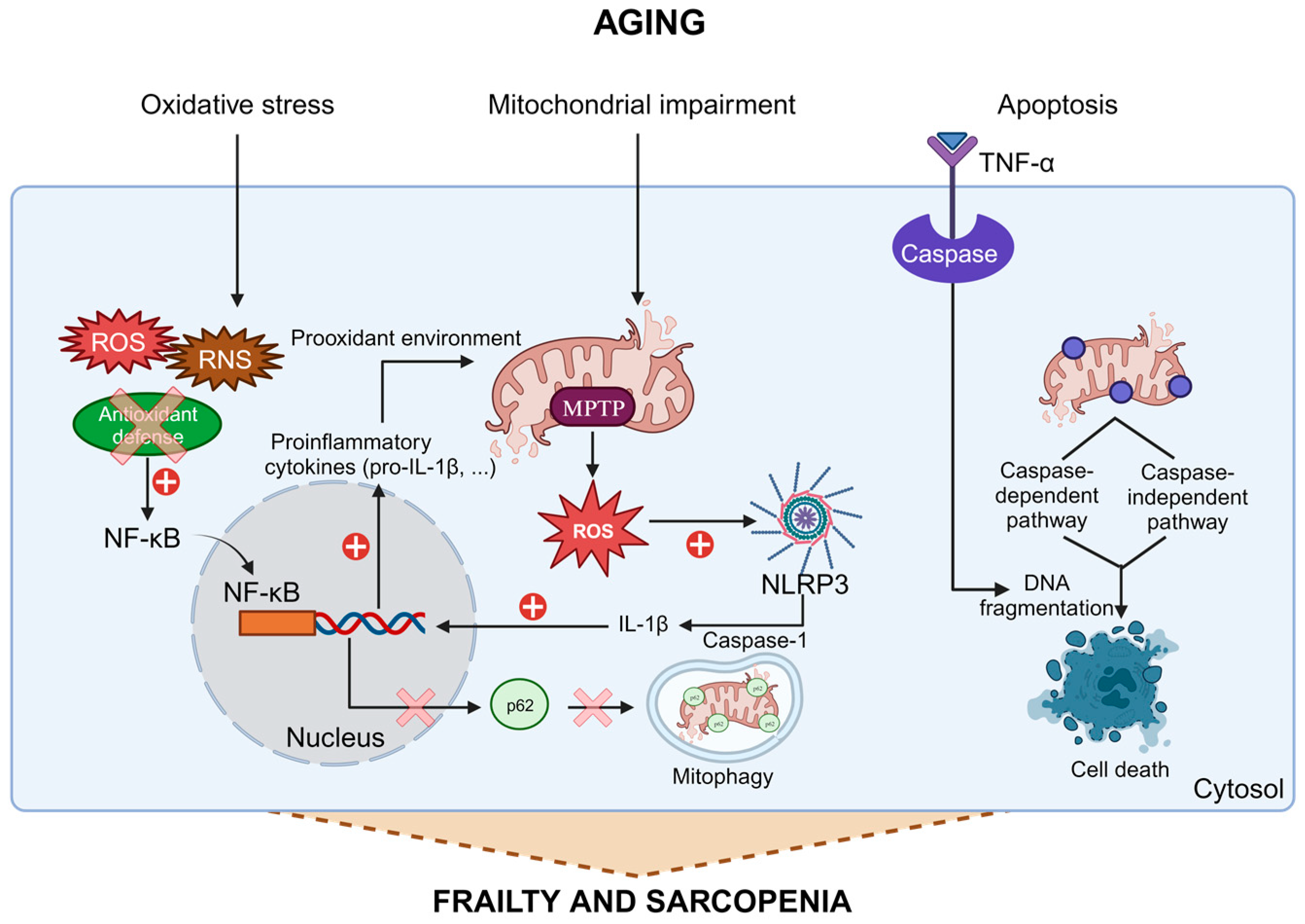 Biomolecules 13 01779 g001 Biomolecules 13 01779 g001