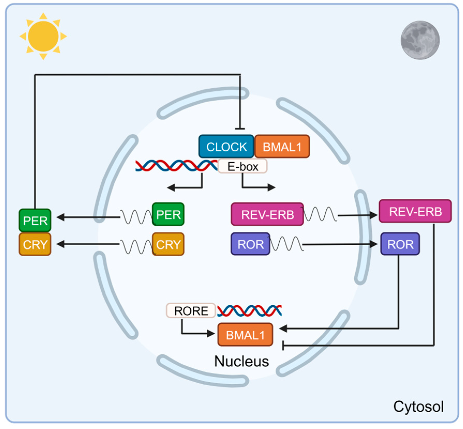 Biomolecules 13 01779 g002 Biomolecules 13 01779 g002