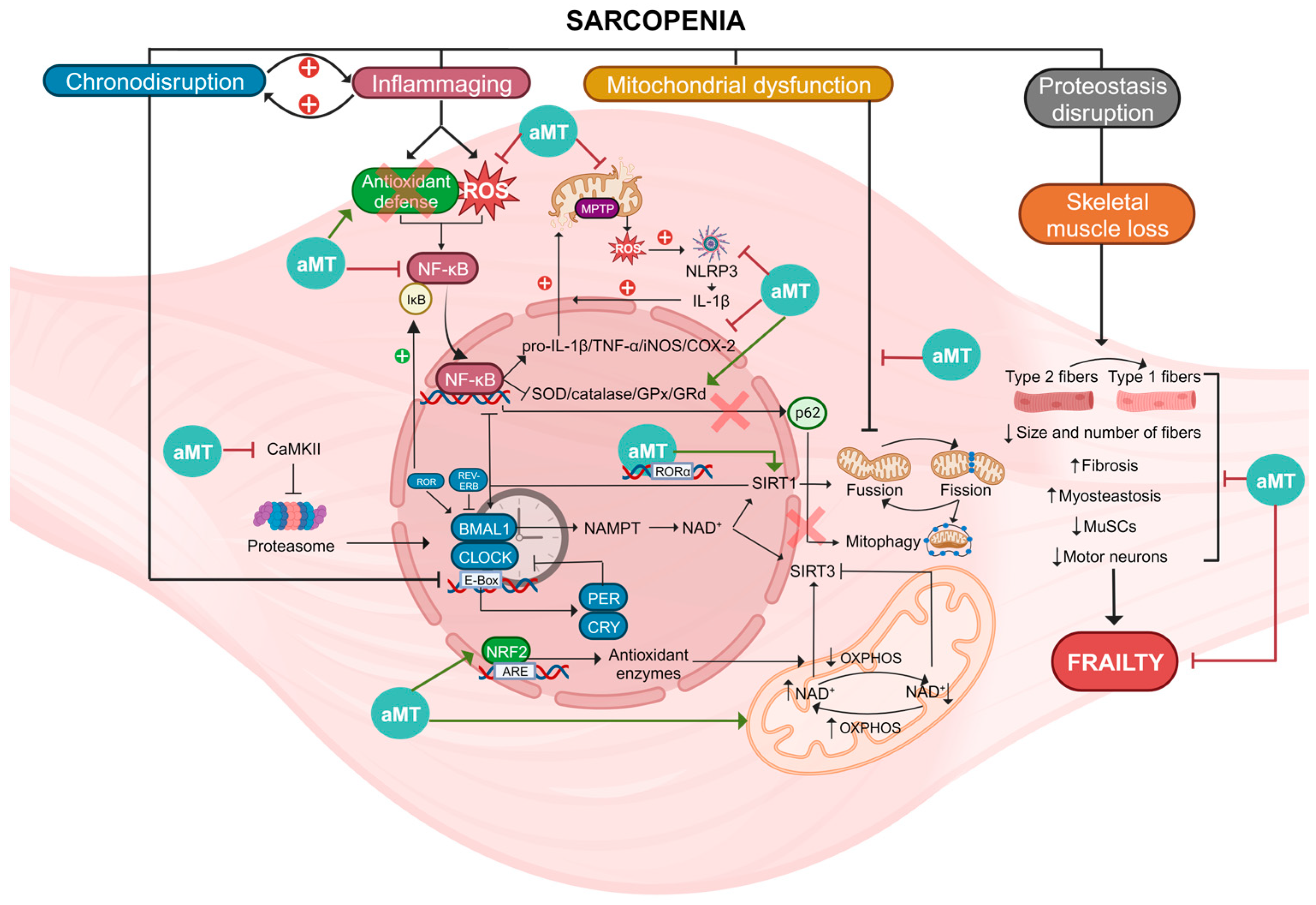 Biomolecules 13 01779 g004 Biomolecules 13 01779 g004