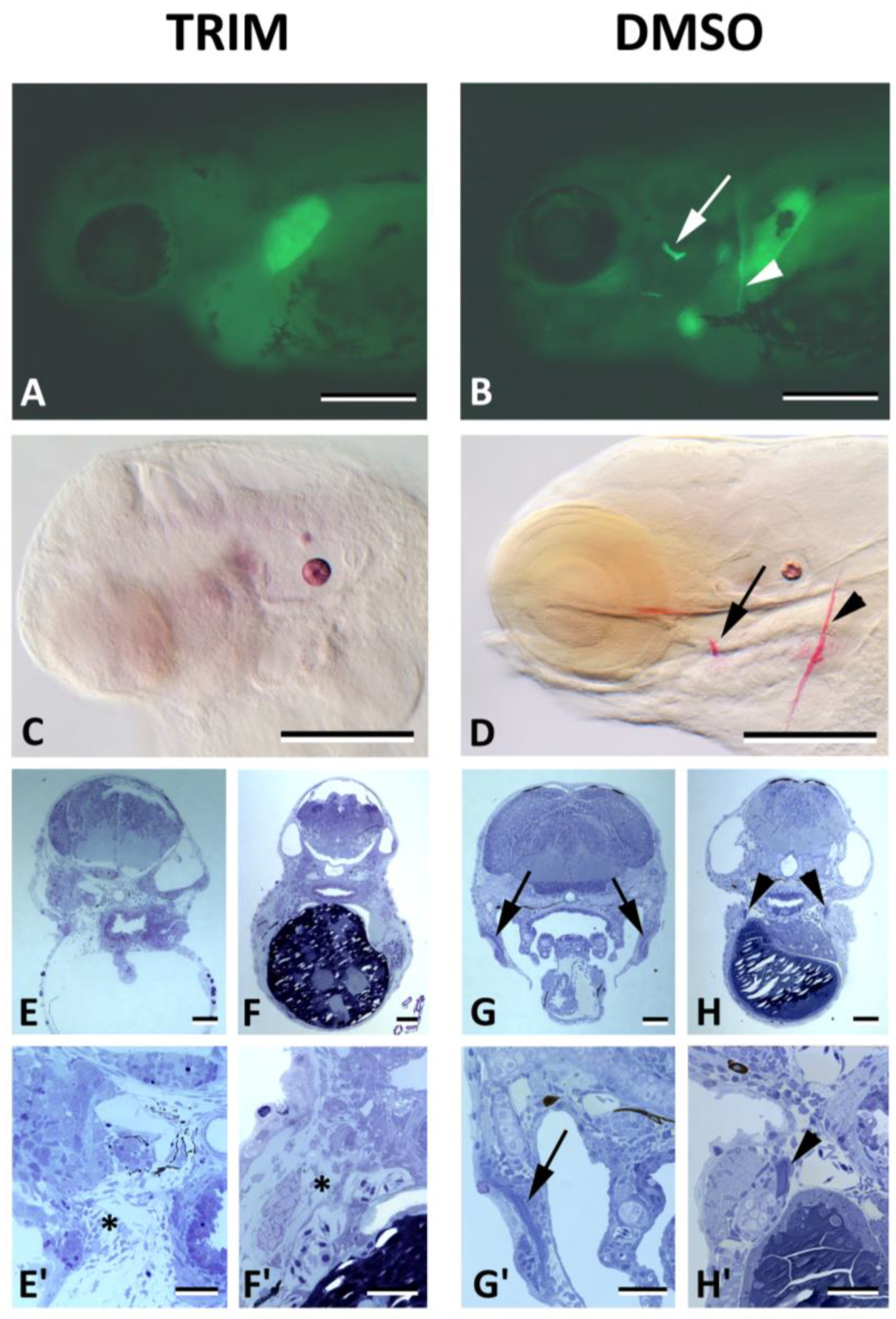 Biomolecules 13 01780 g006