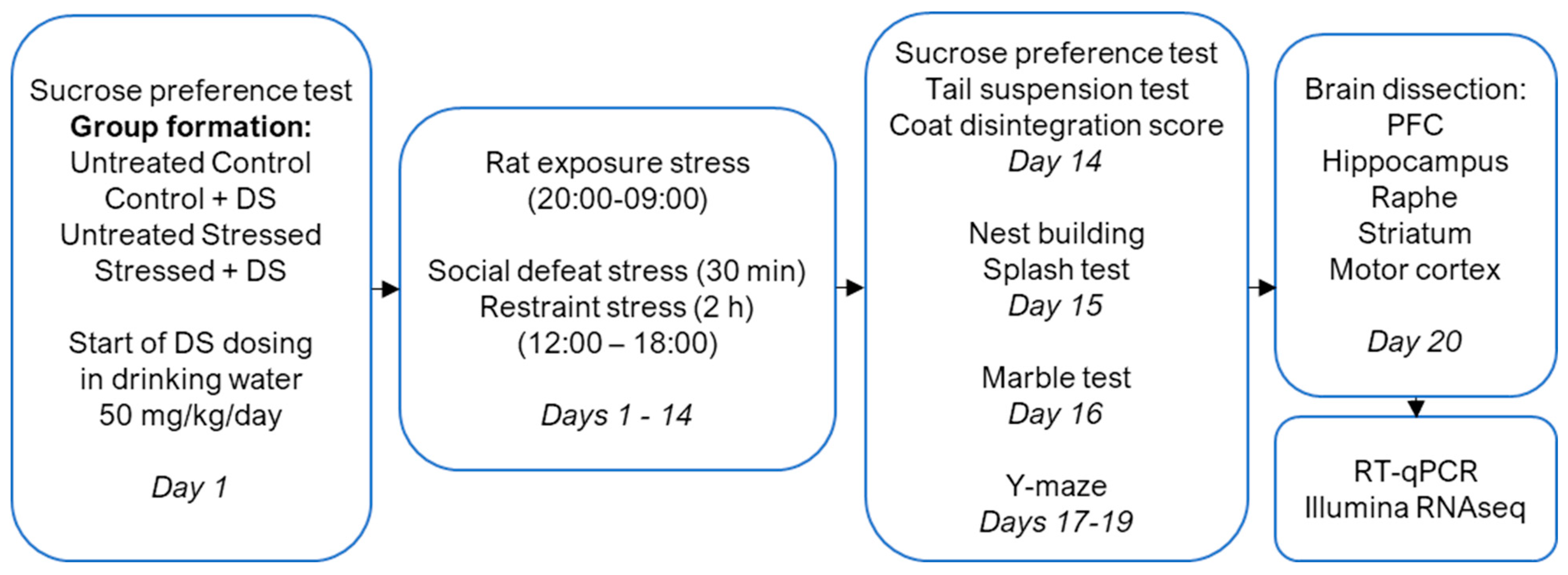 Biomolecules 13 01782 g001