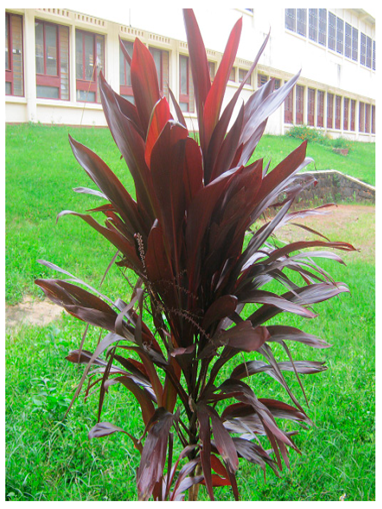 Biomolecules 13 01783 g001