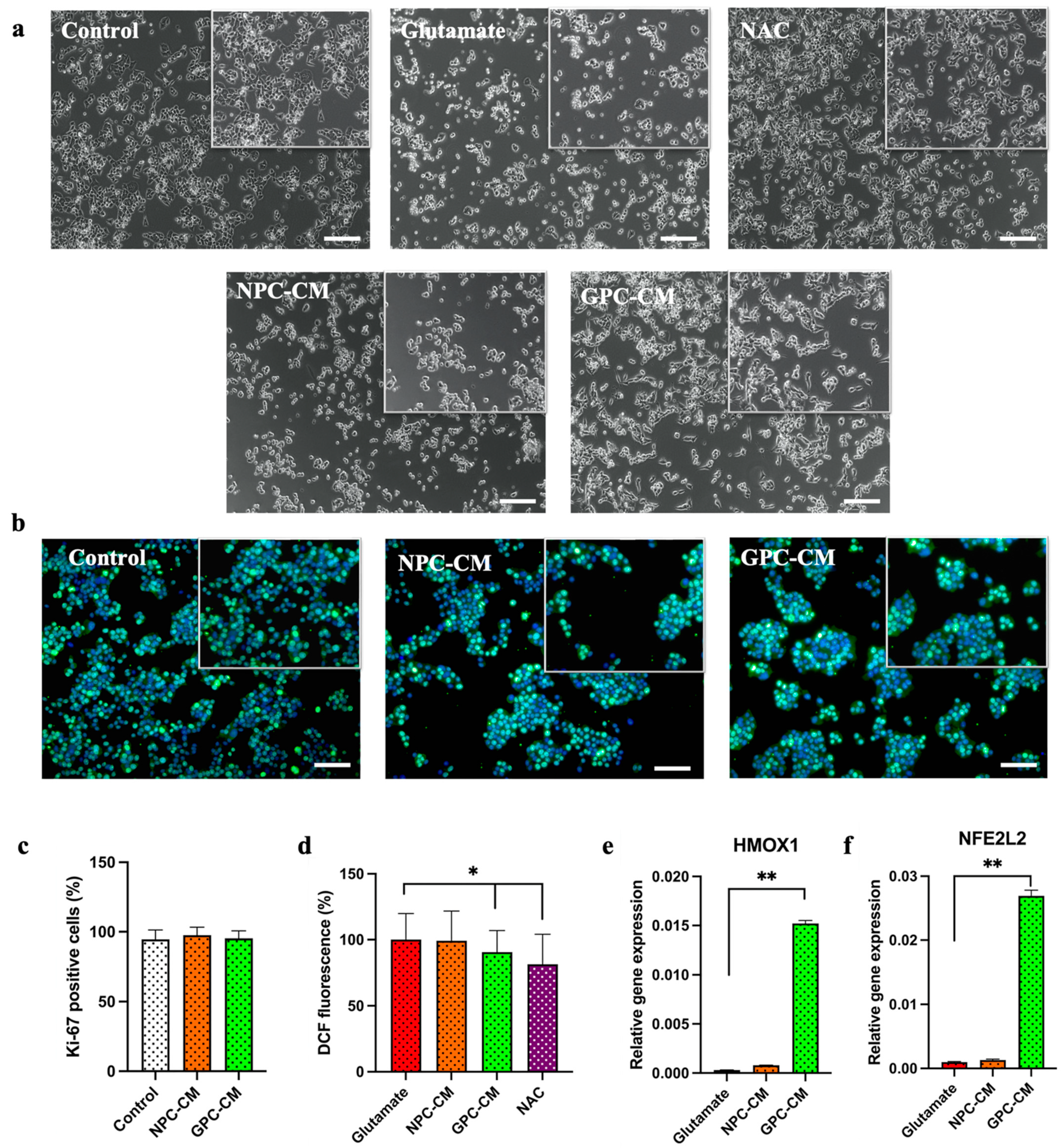 Biomolecules 13 01784 g003