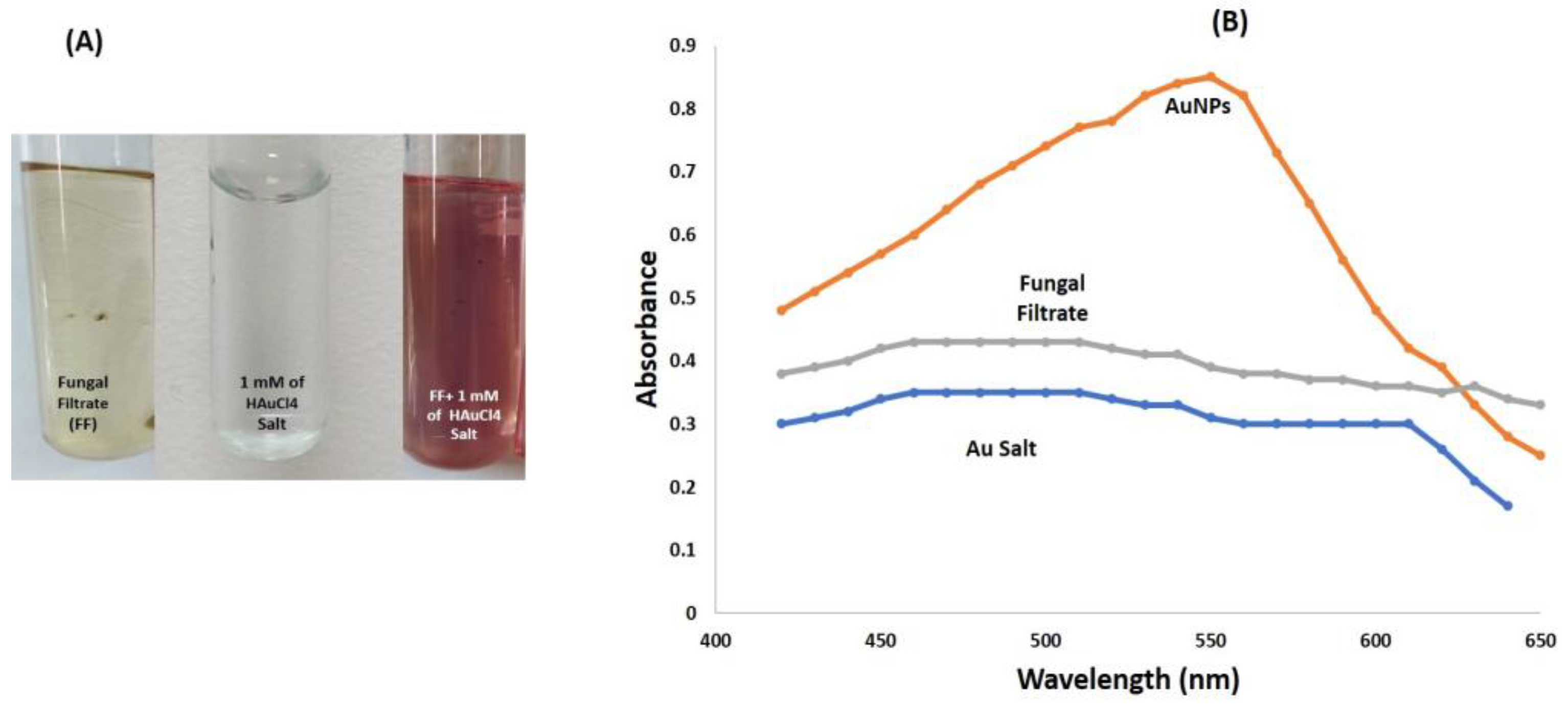 Biomolecules 13 01785 g001