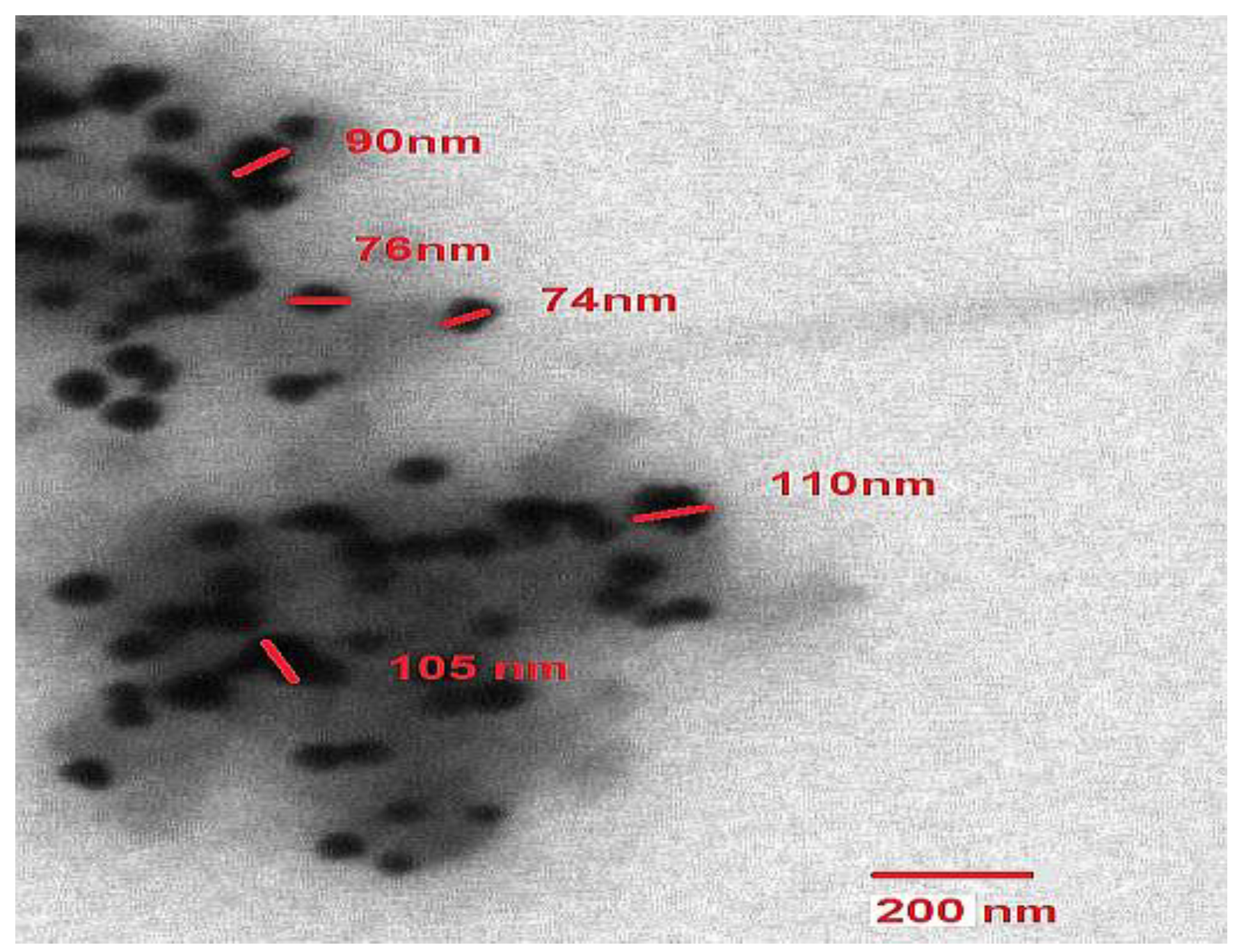 Biomolecules 13 01785 g003