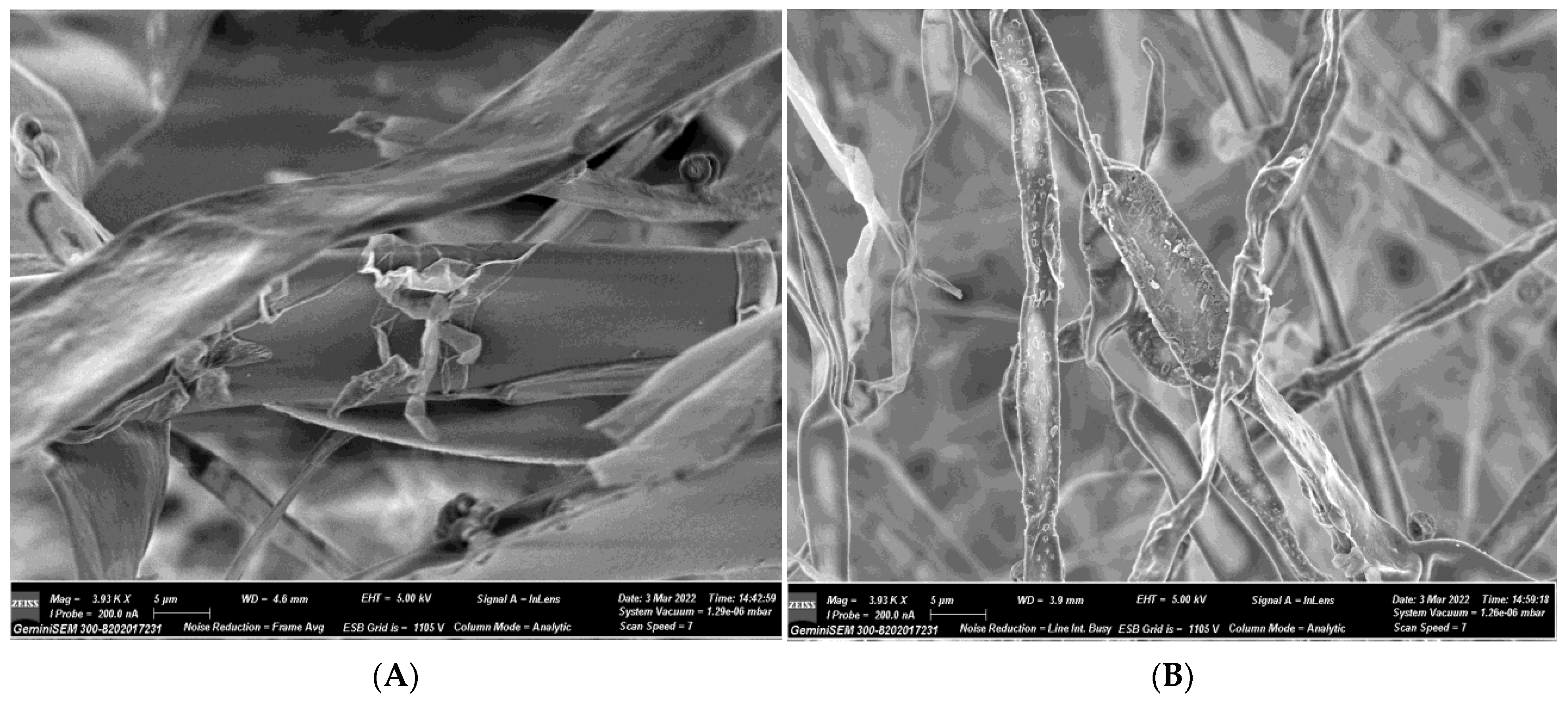 Biomolecules 13 01785 g005a